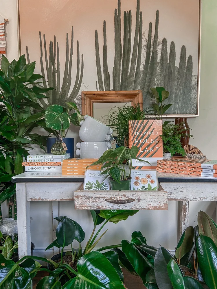 The Inspired House Plant  The Iman Project