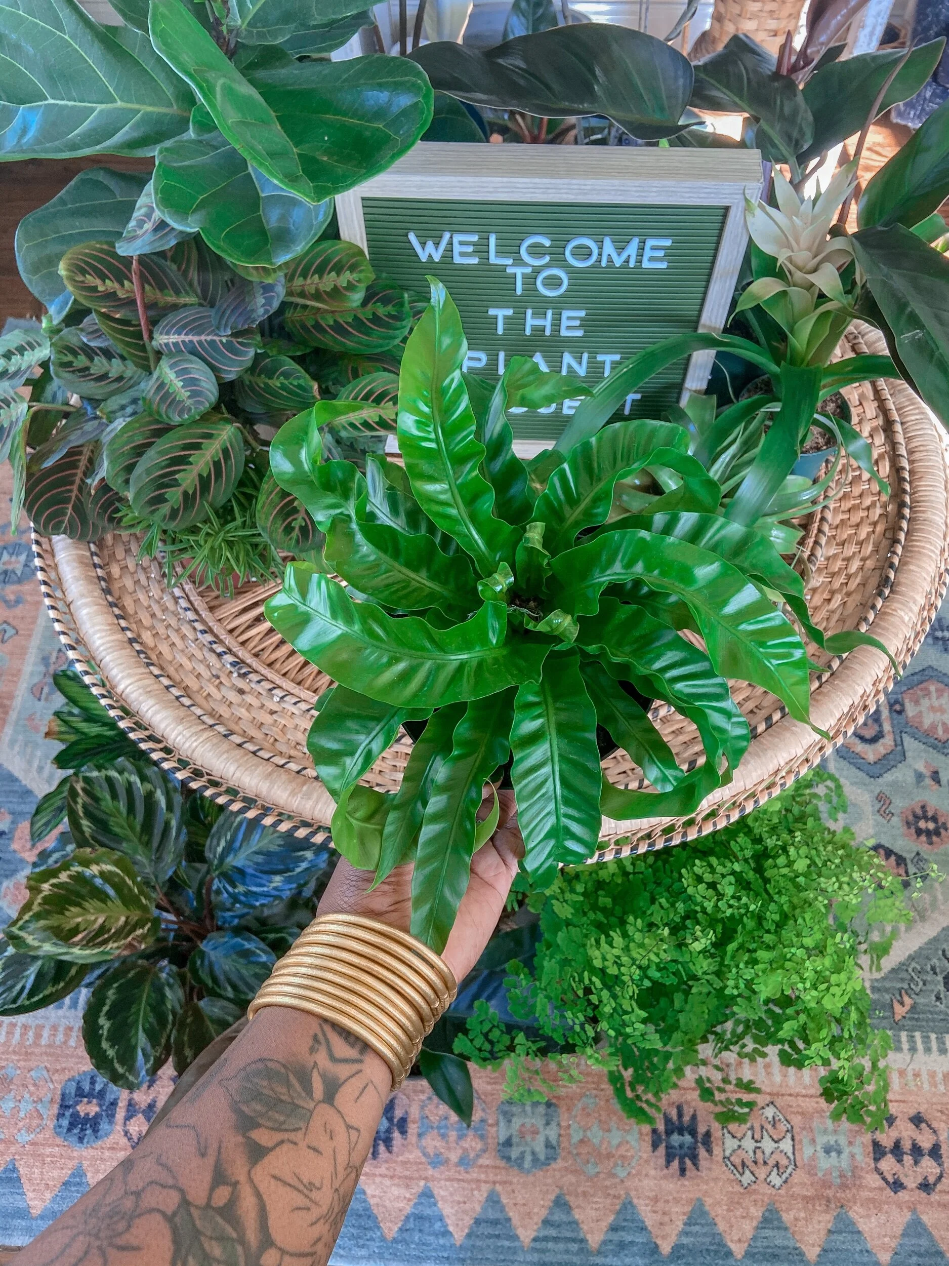 32819DE9-73FE-48E0-A192-4C4D7A89EB5C