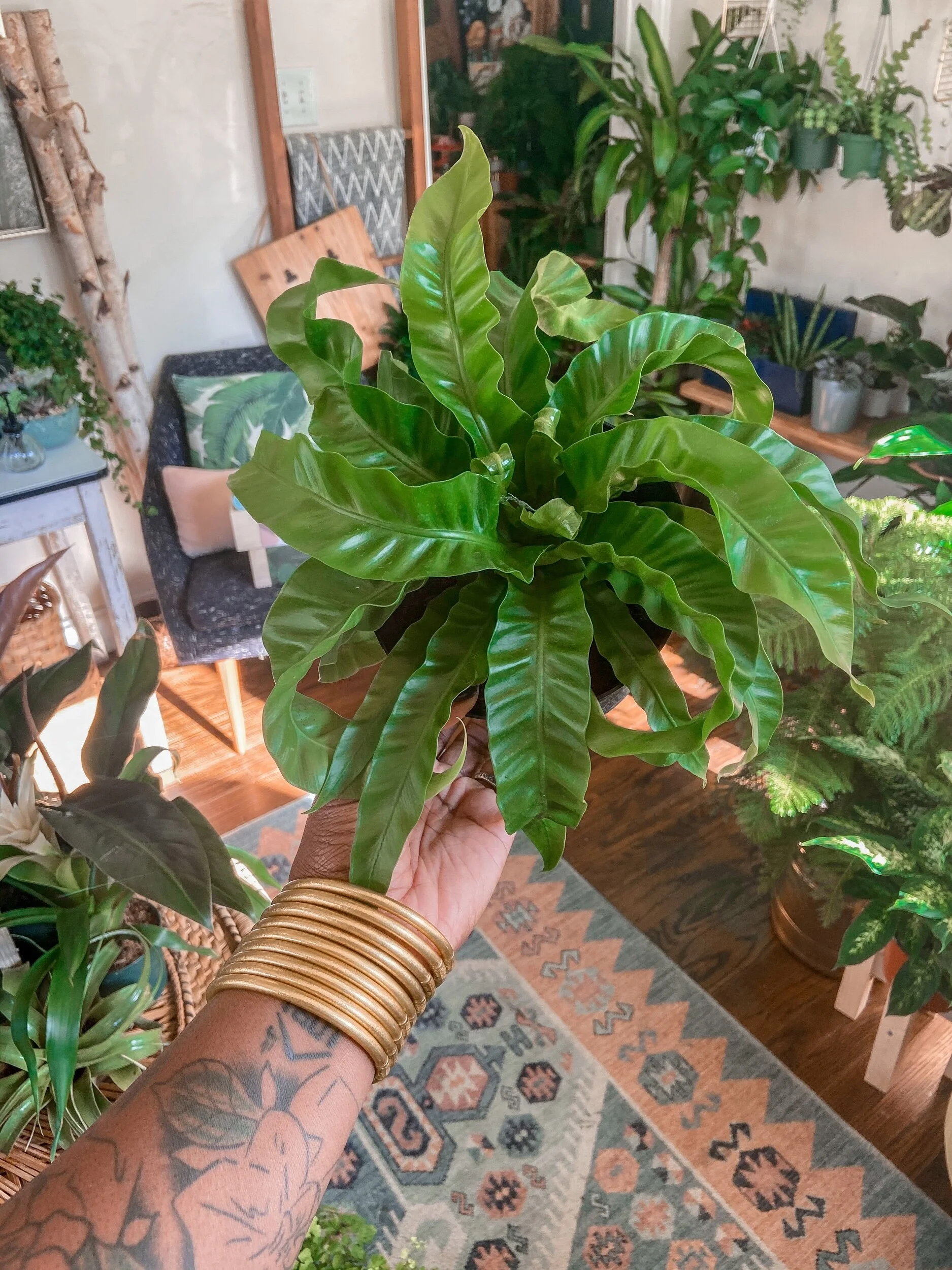 69AD7802-0A3F-4CB2-8C90-0FC2334B7366