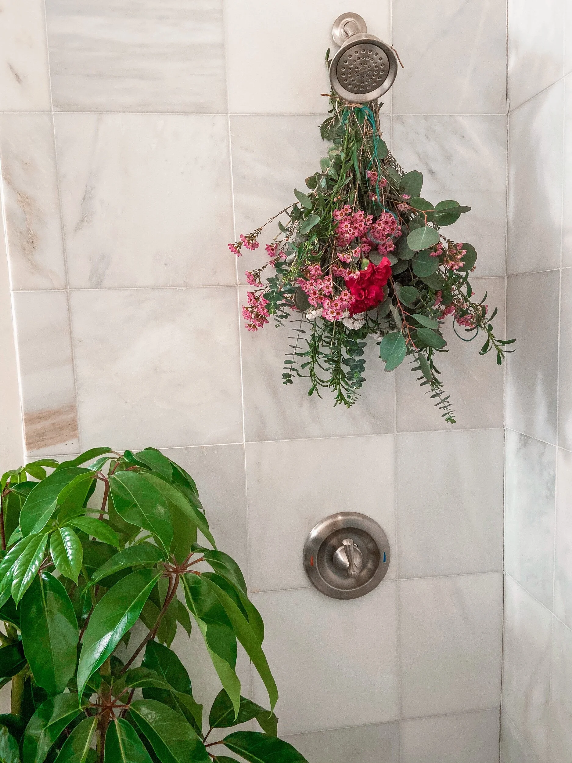 29D60226-9DDF-4805-B02E-545FC61D876E