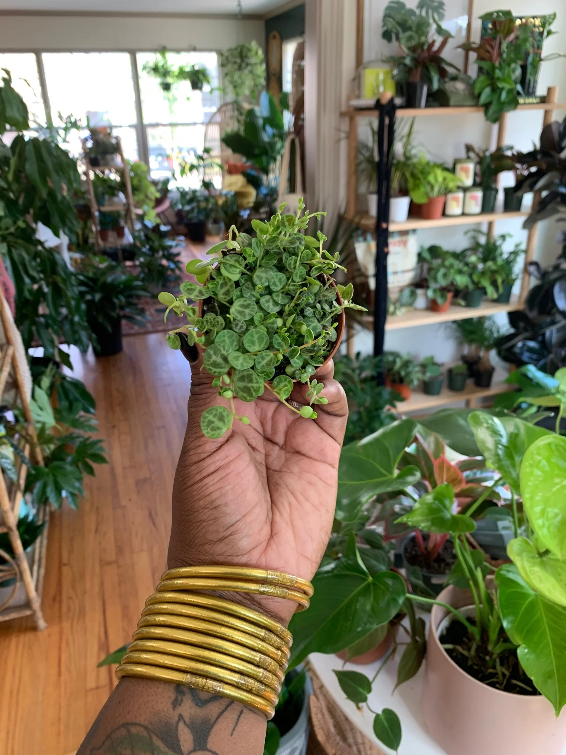 E5B049E5-67AF-4128-B6E0-9119E343DD64