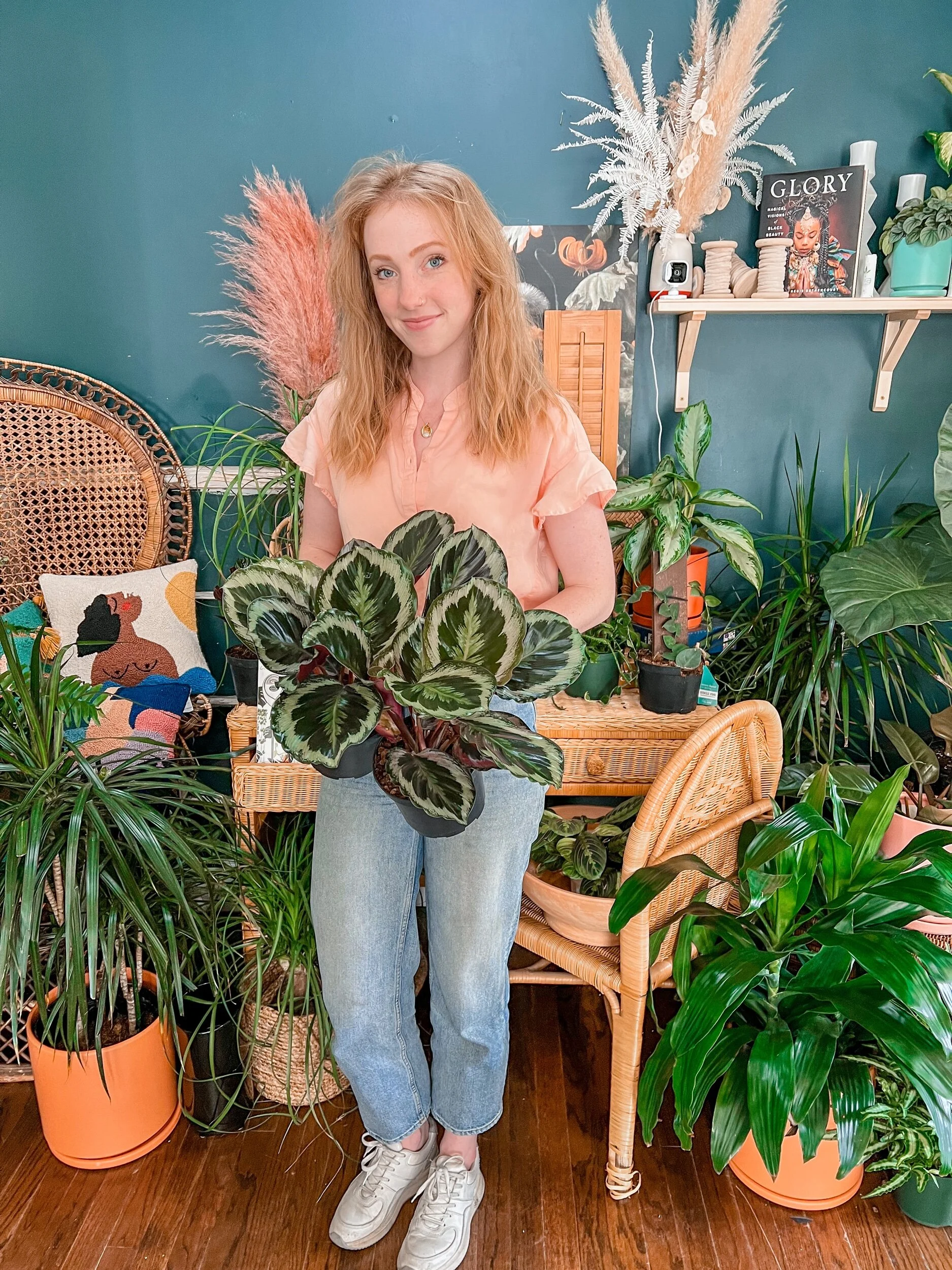 AA1C11EE-DCBE-4E84-BC12-37DB5960DBF4