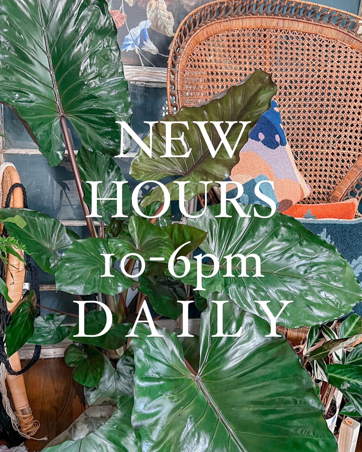 New Hours who dis&hellip;.
D A L L A S&hellip;.you have shown us so much love since day one. And we think it&rsquo;s only fair to give you a little extra time to take in all the 

P L A N T 
J O Y

So don&rsquo;t just spend the afternoons with us. Co