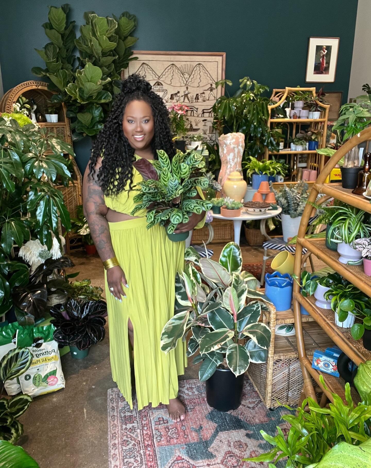 &ldquo;They say a lot about me, let me tell ya what I ain&rsquo;t&rdquo;

Hello 

I&rsquo;m still here&hellip;.

Want a Plant?