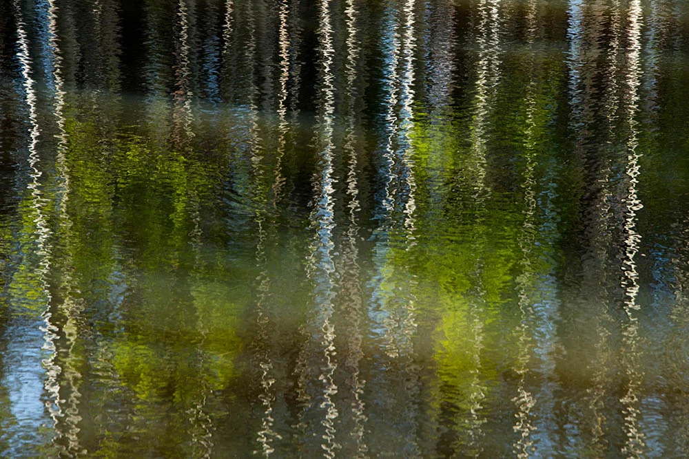 723 aspen reflections.jpg