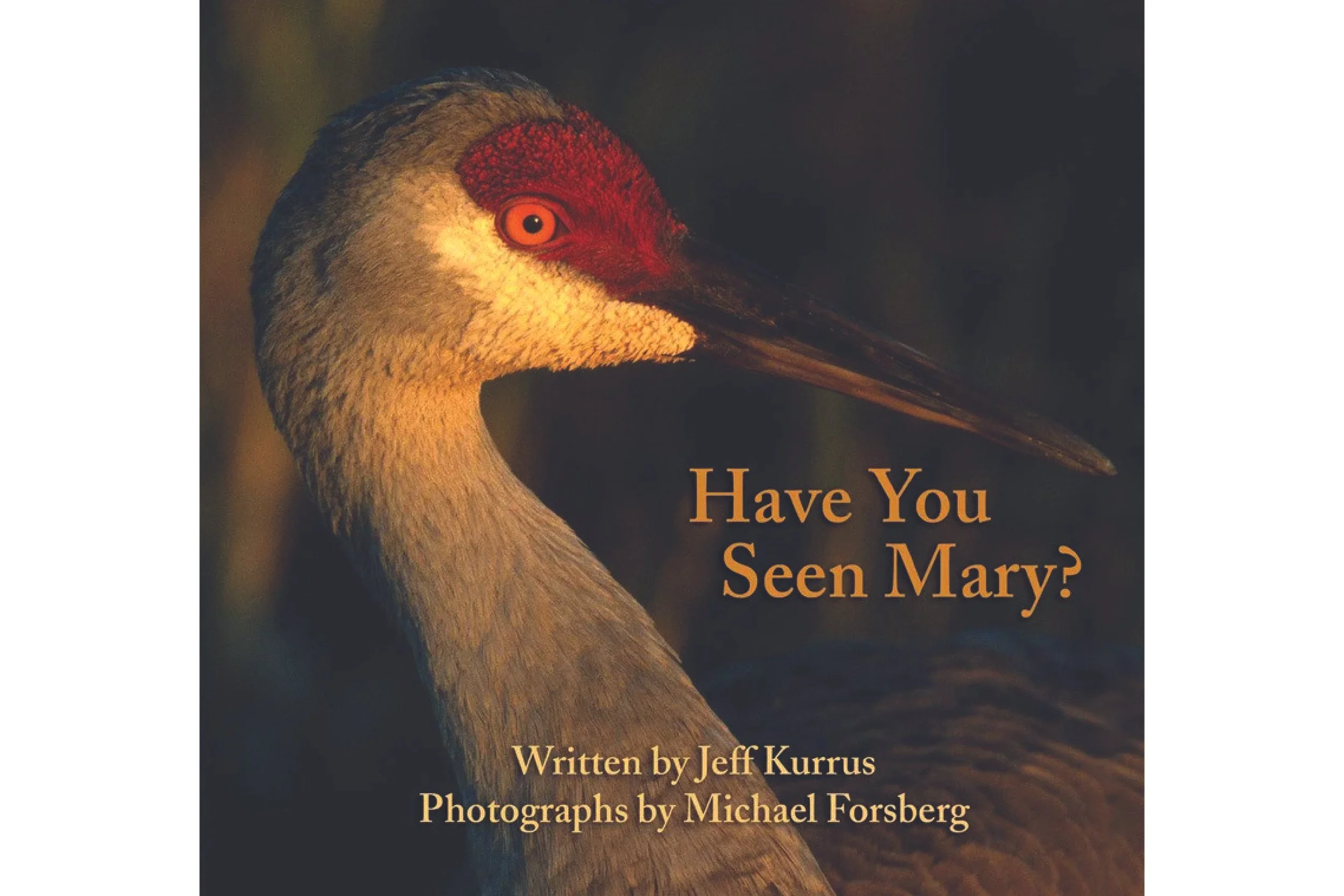 Have You Seen Mary?