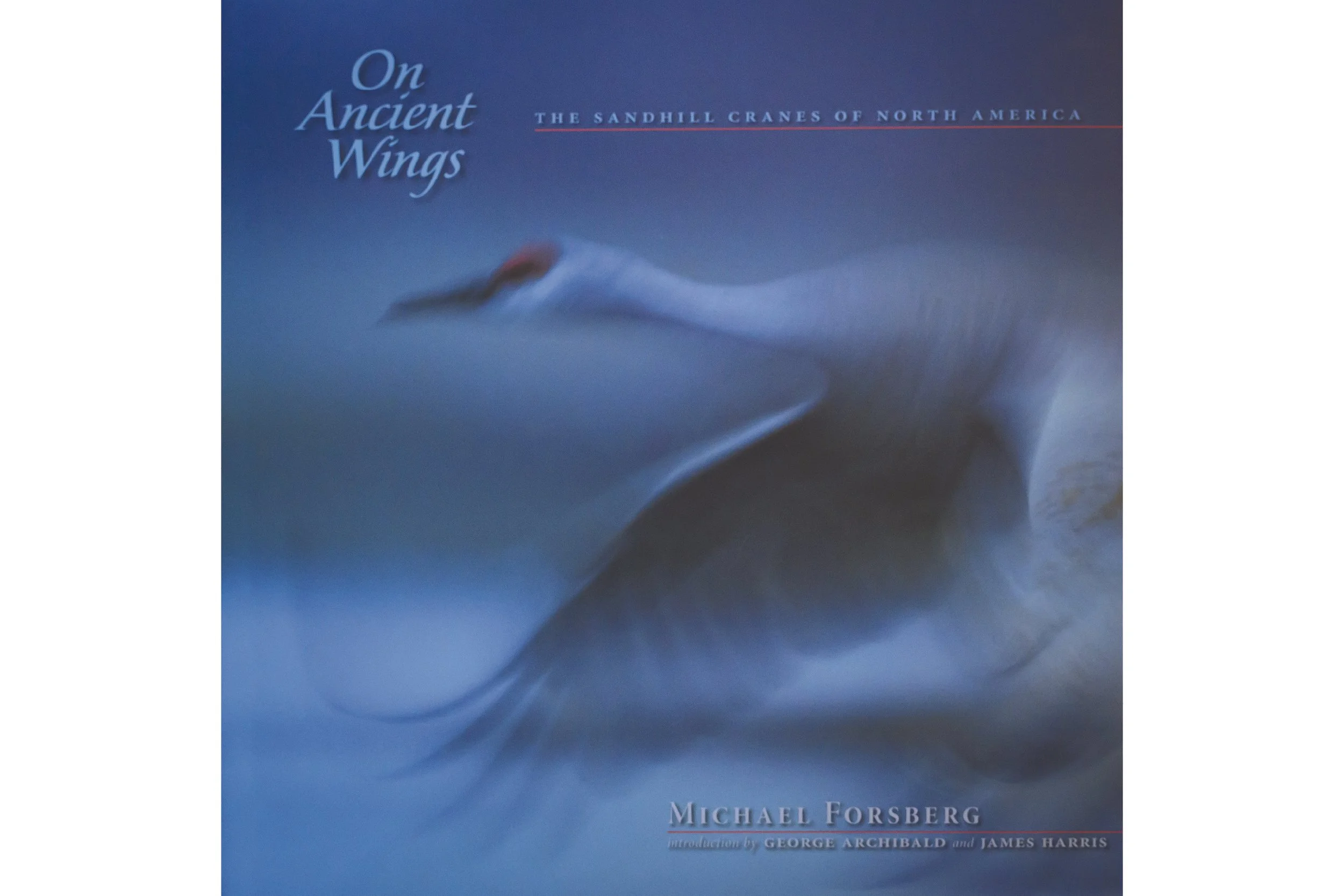 On Ancient Wings - the Sandhill Cranes of North America