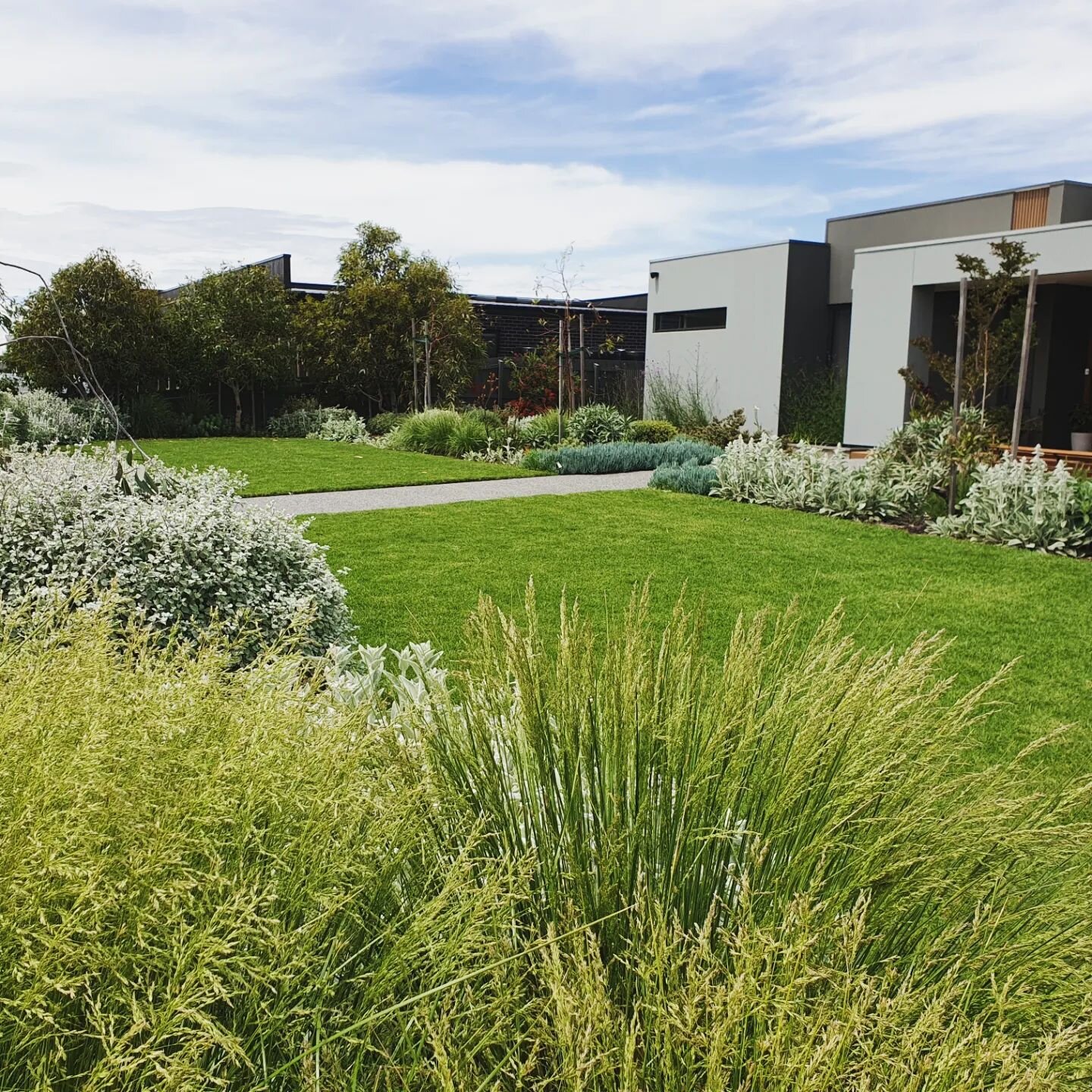 Lovely to be able to drop past a clients garden while out and about this weekend. They've done an amazing job caring for this garden on this large block, with some tough conditions. Strong winds, poor soil and challenging drainage has left some gaps,