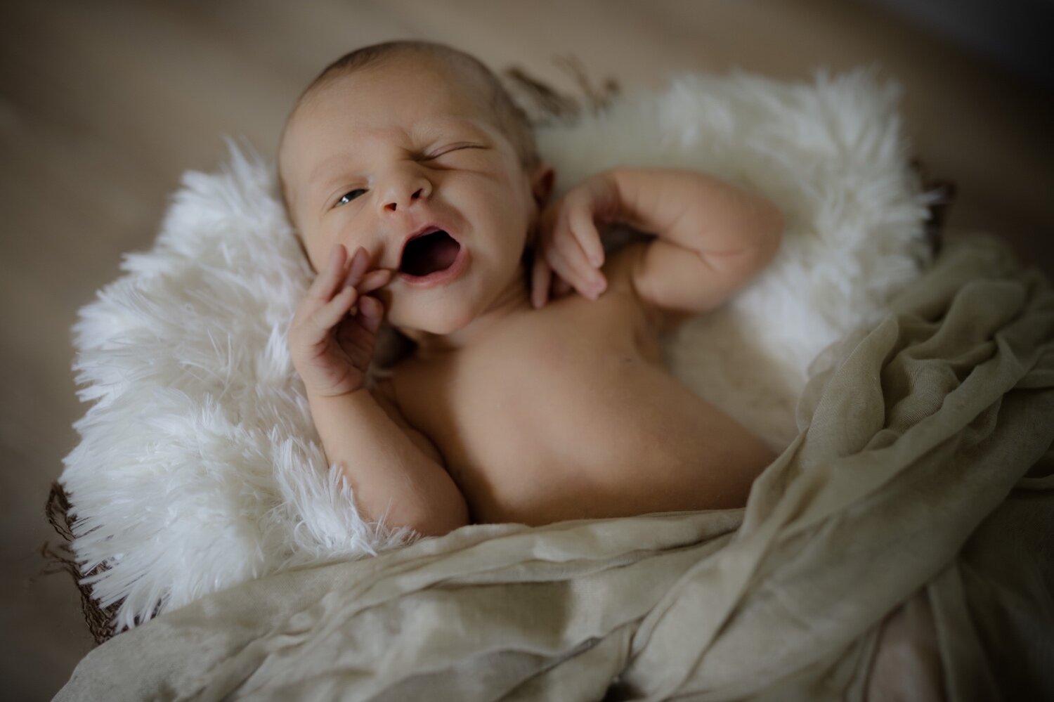 16_Callum Newborn-75.jpg