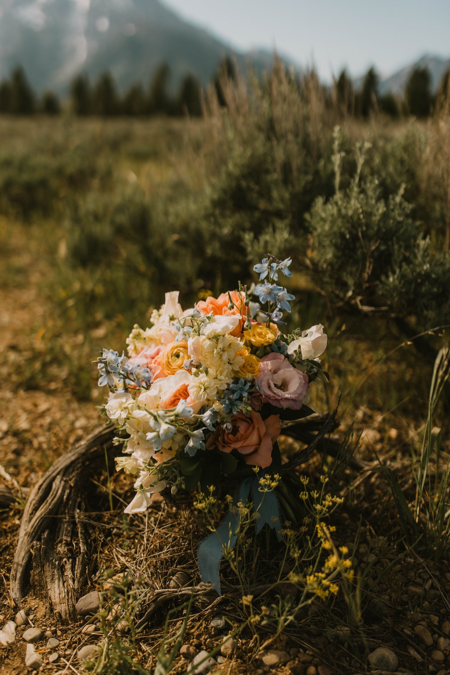 05_S&C-Colorado Elopement Photographer Videographer-30.jpg