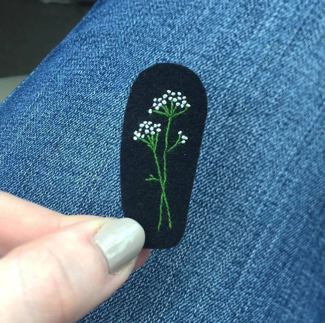 Queen Anne's Lace.JPG