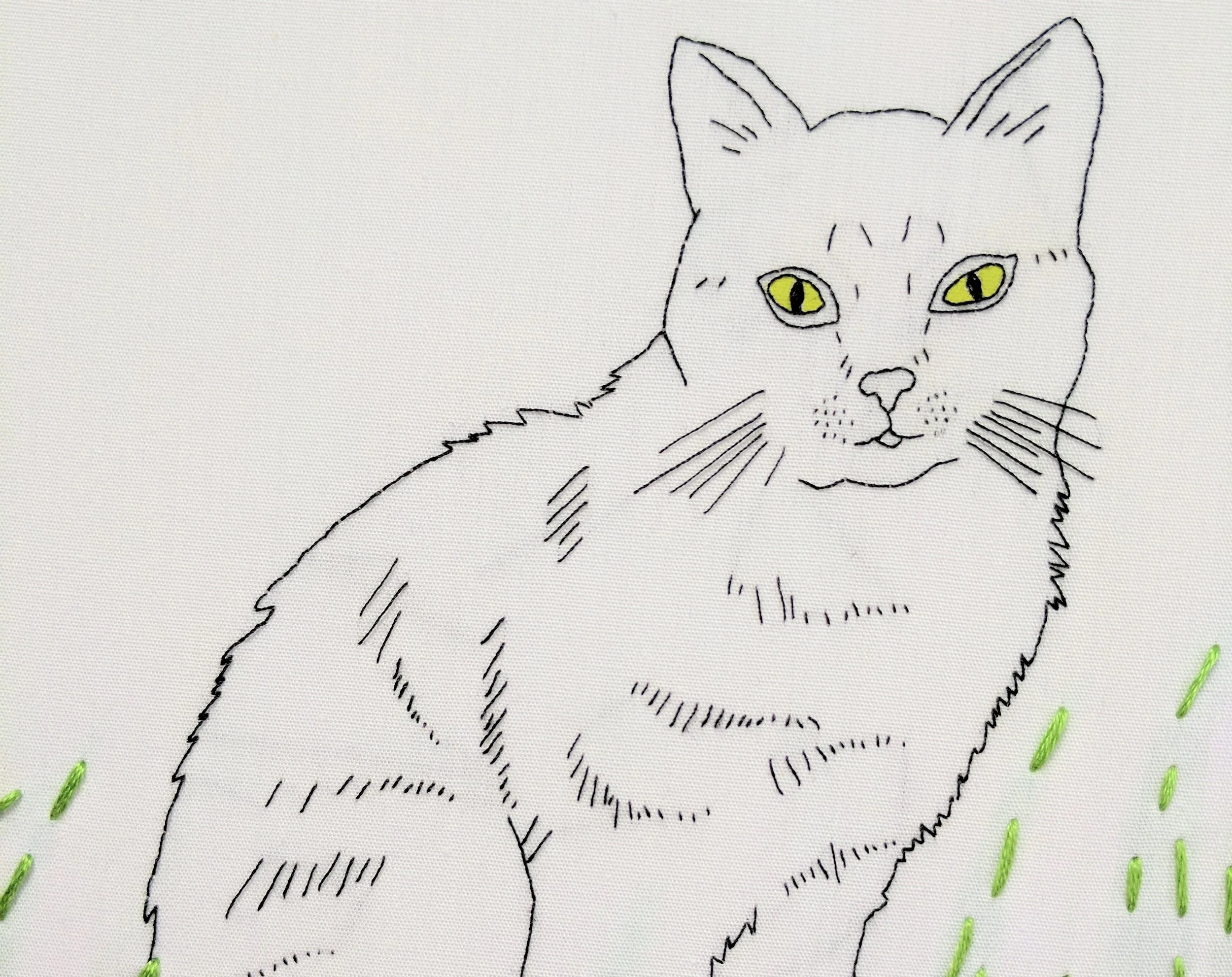 cat super close up.jpg