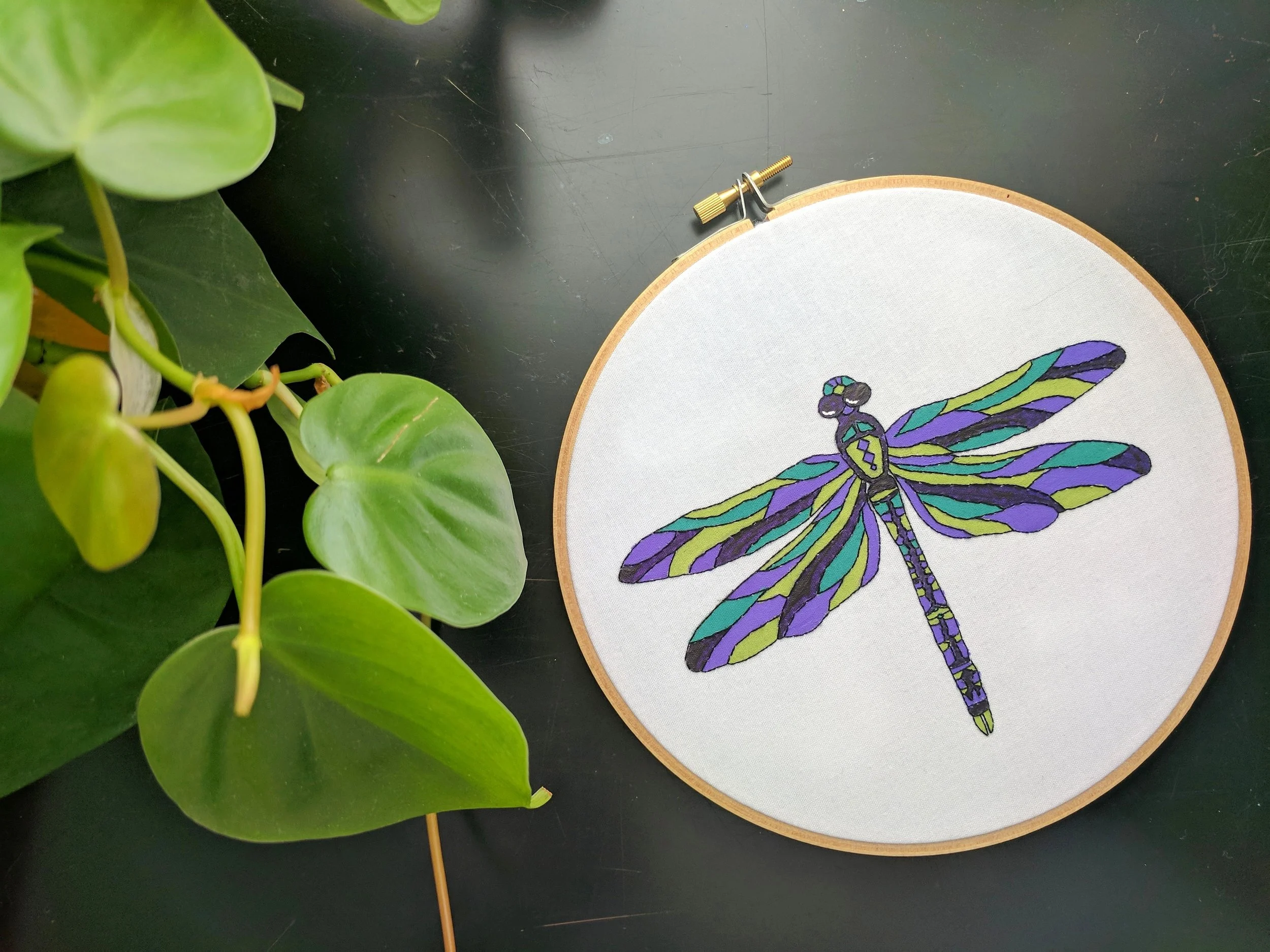 dragonfly.jpg