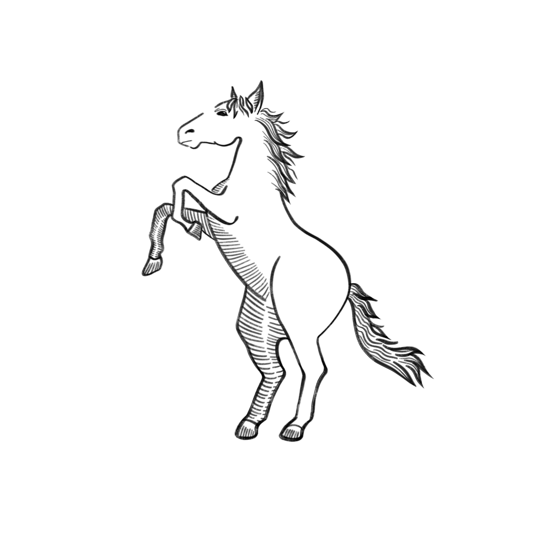 IMG_0444.PNG