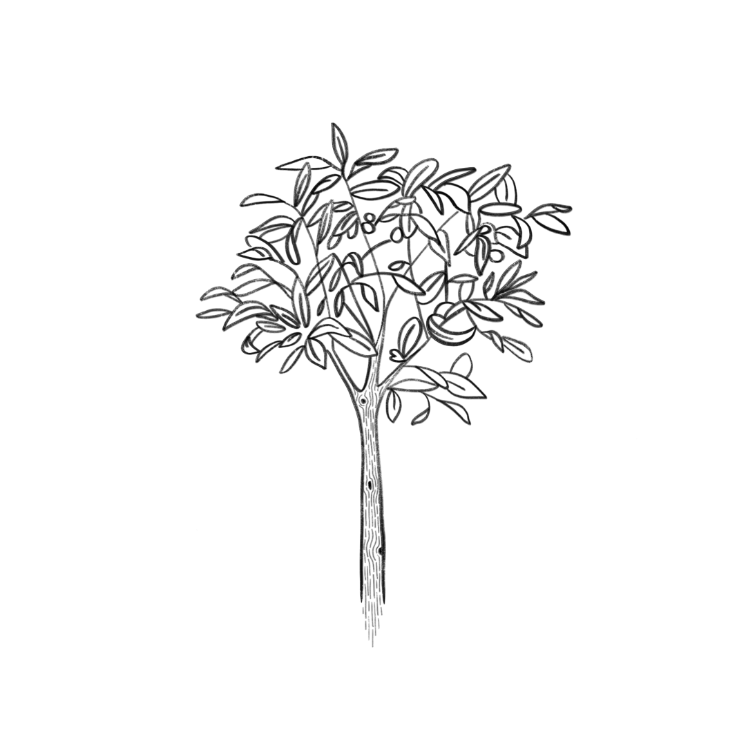 IMG_0453.PNG