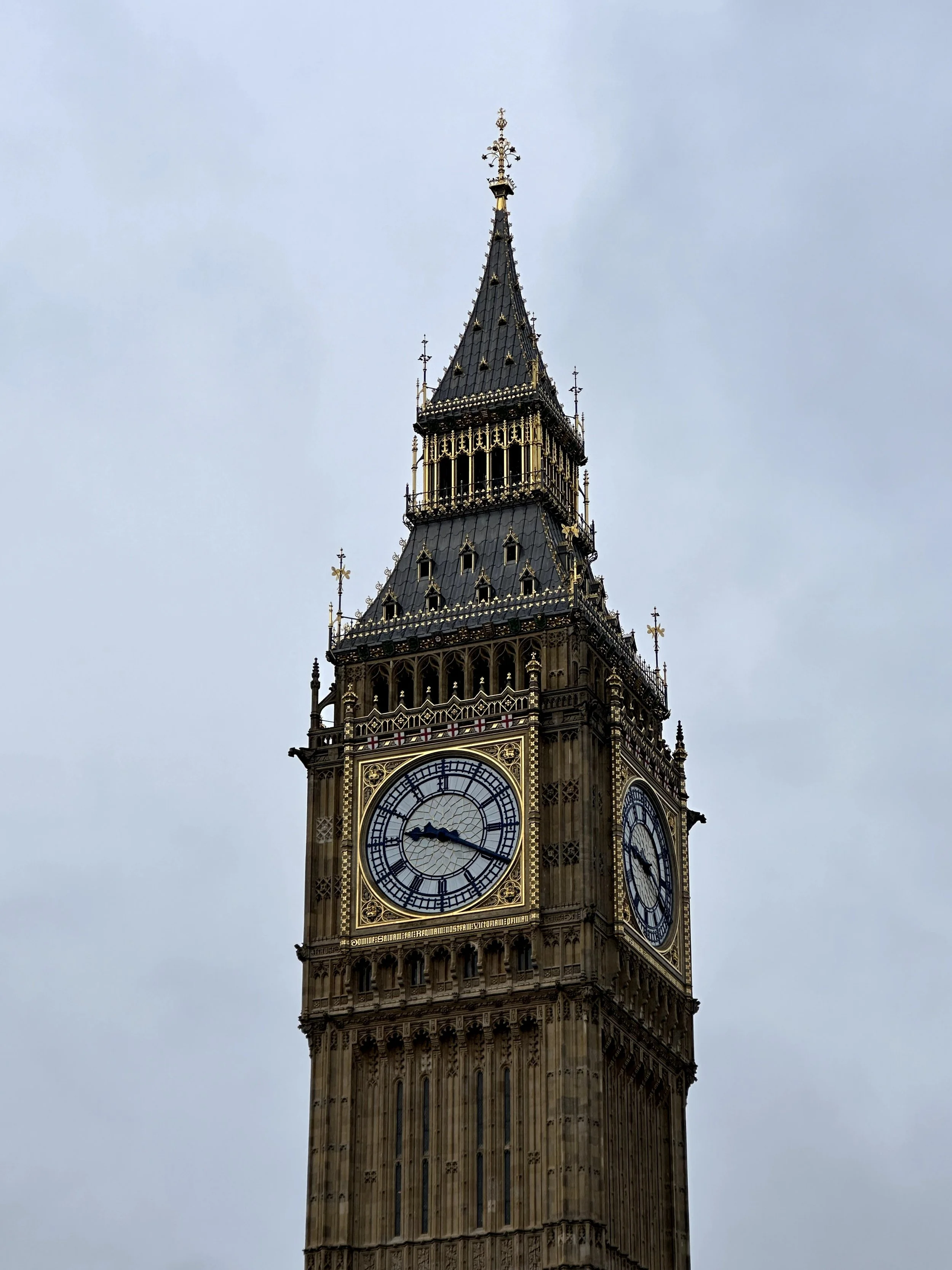 IMG_7534.jpg