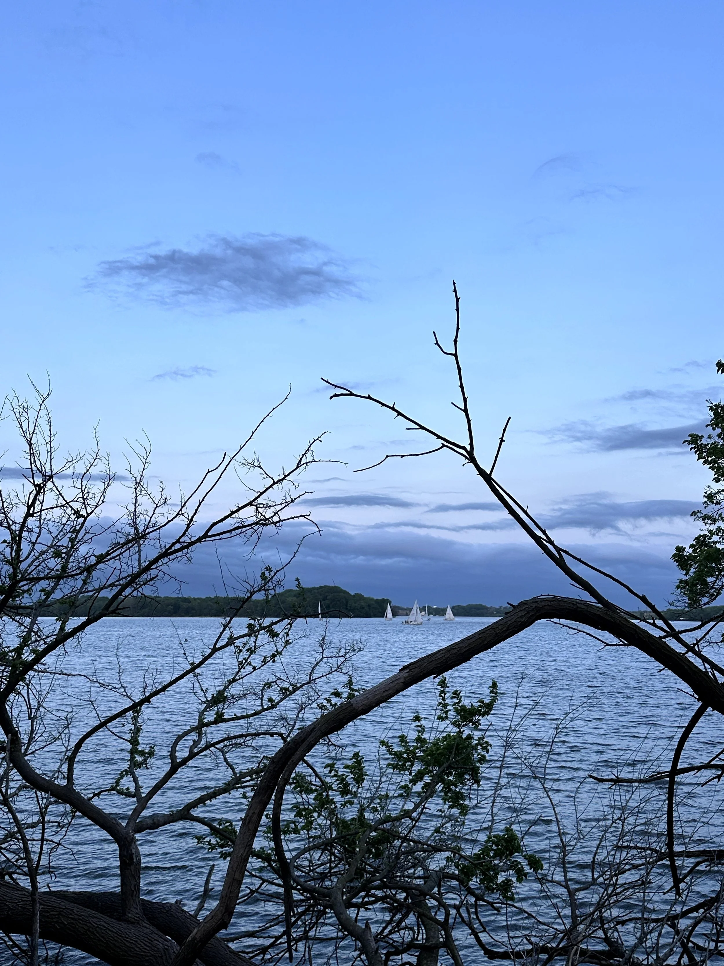 IMG_8005.jpg