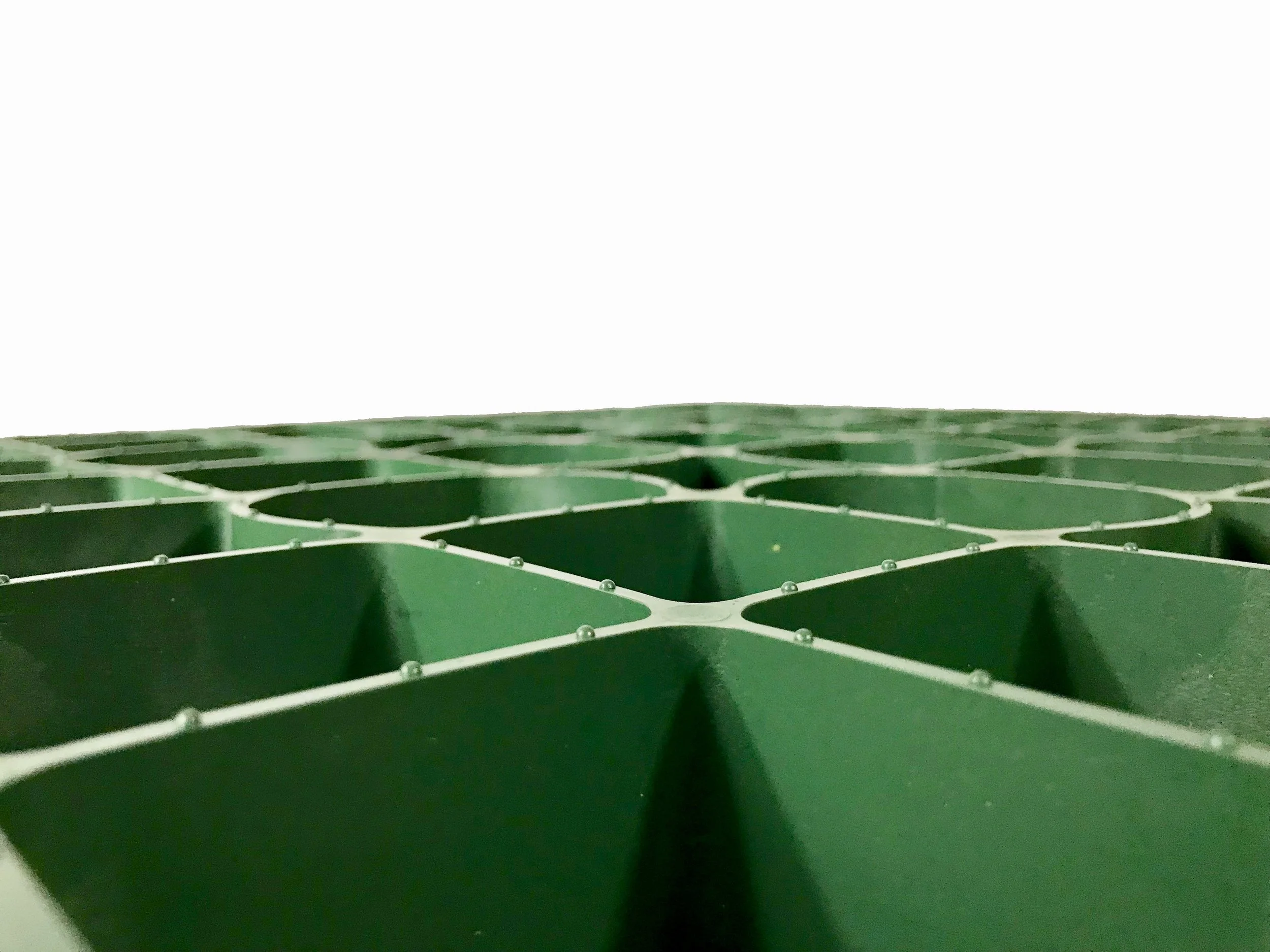 fullsizeoutput_8ba.jpeg