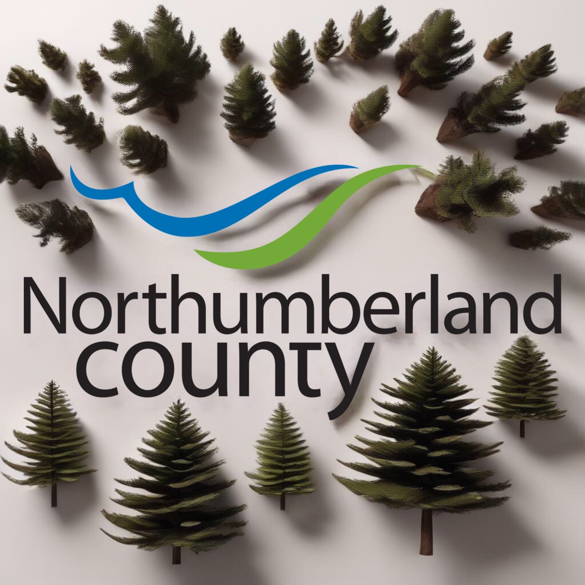 Council committee balks at $60-million price tag