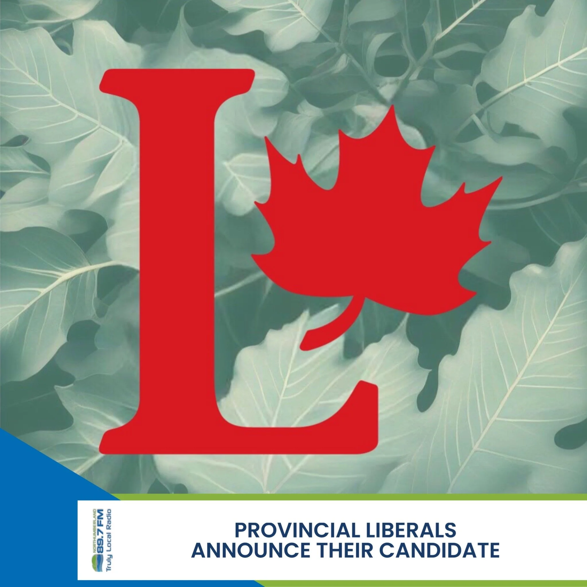 Provincial Liberals announce their candidate
