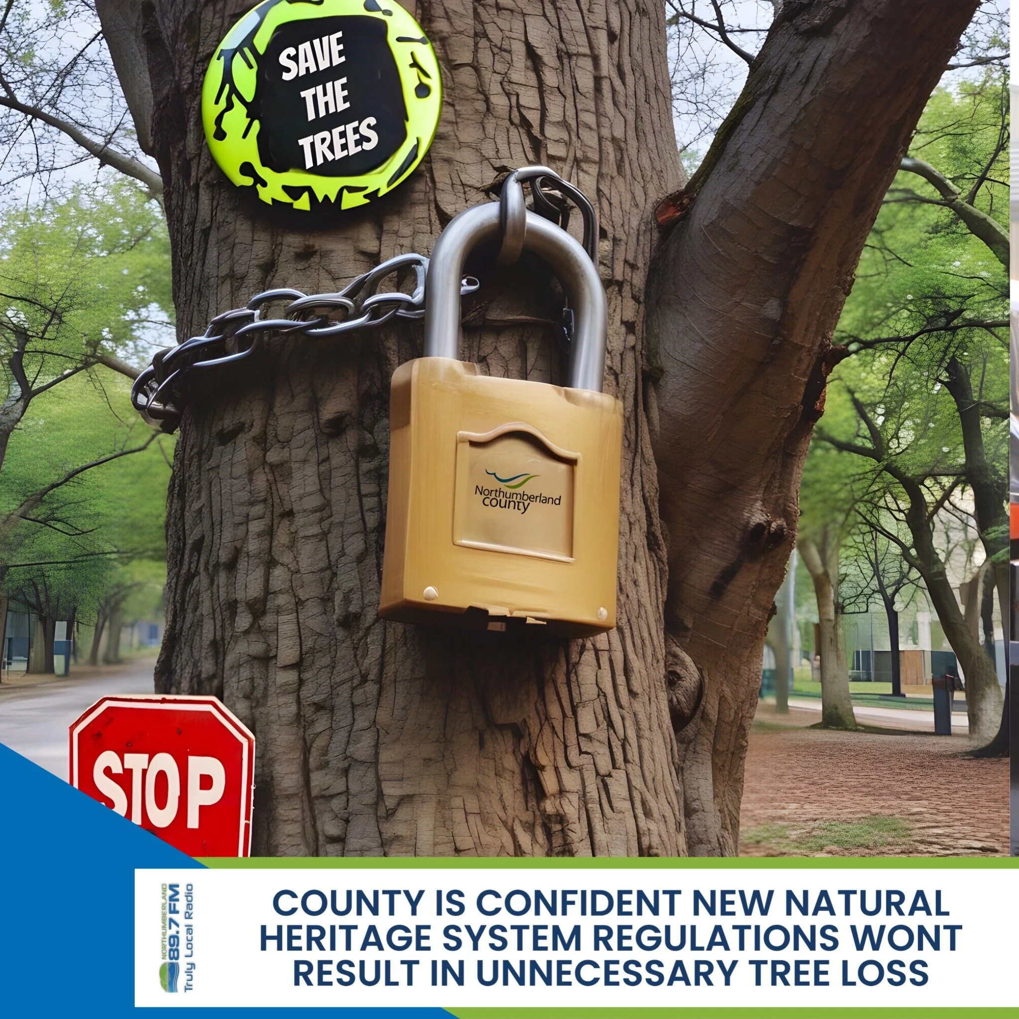 County is confident new Natural Heritage System regulations won't result in unnecessary tree loss