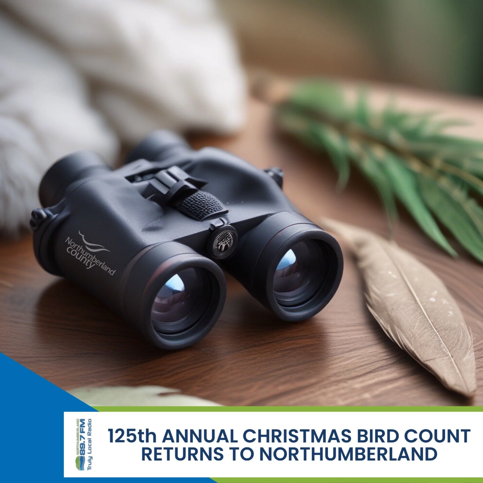 125th Annual Christmas Bird Count returns to Northumberland