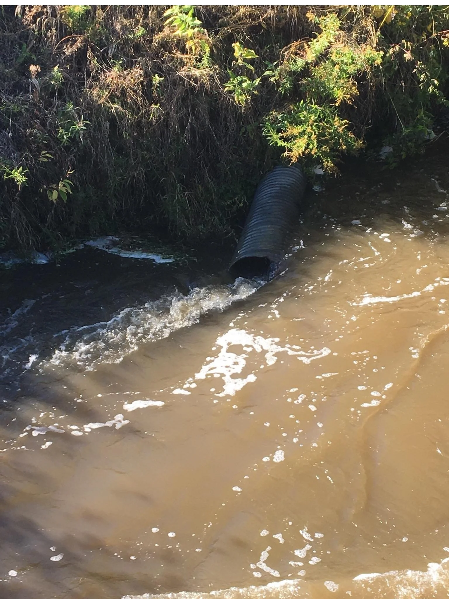 Flood statement issued for much of Northumberland County