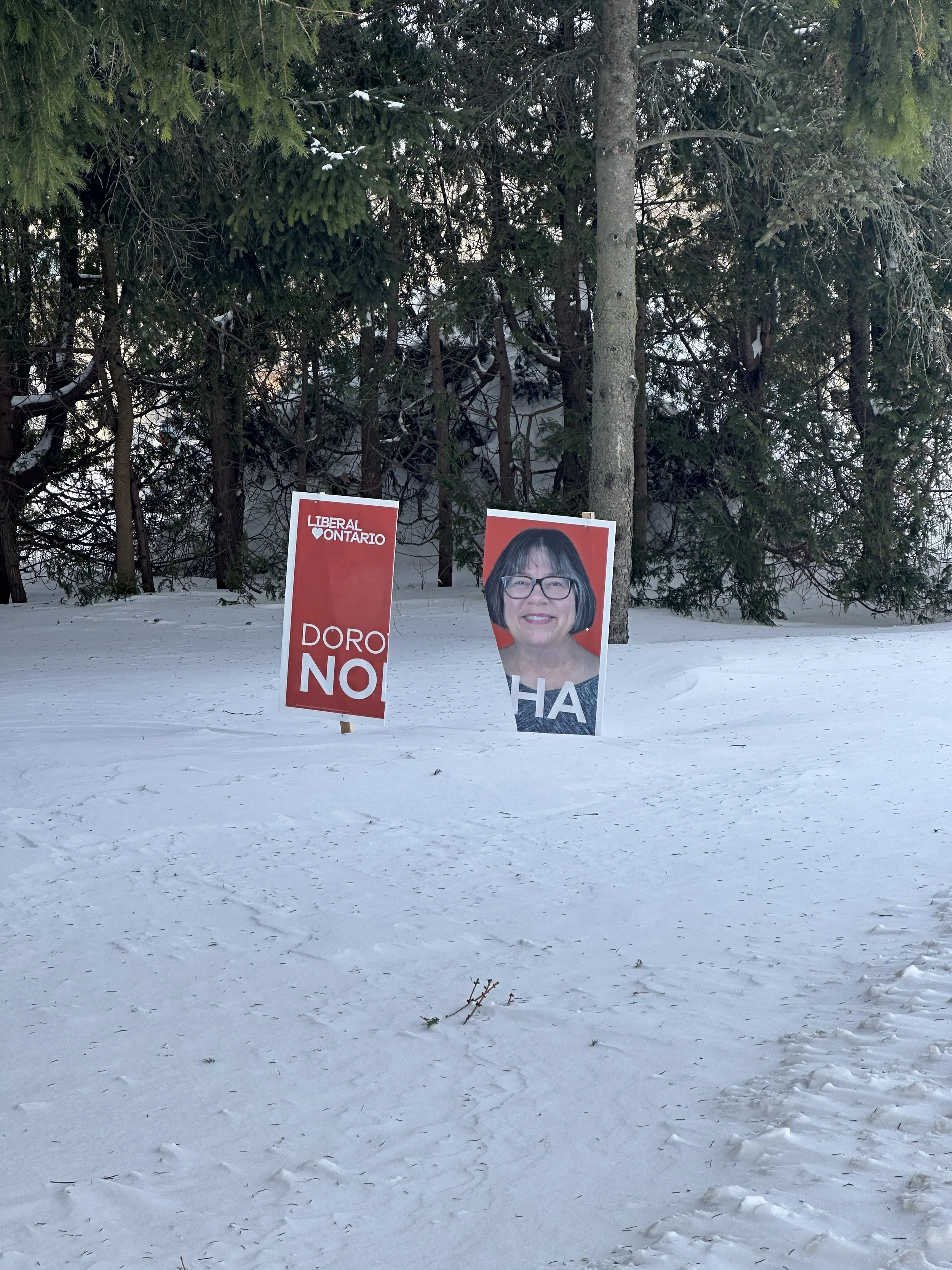 Liberal campaign signs vandalized