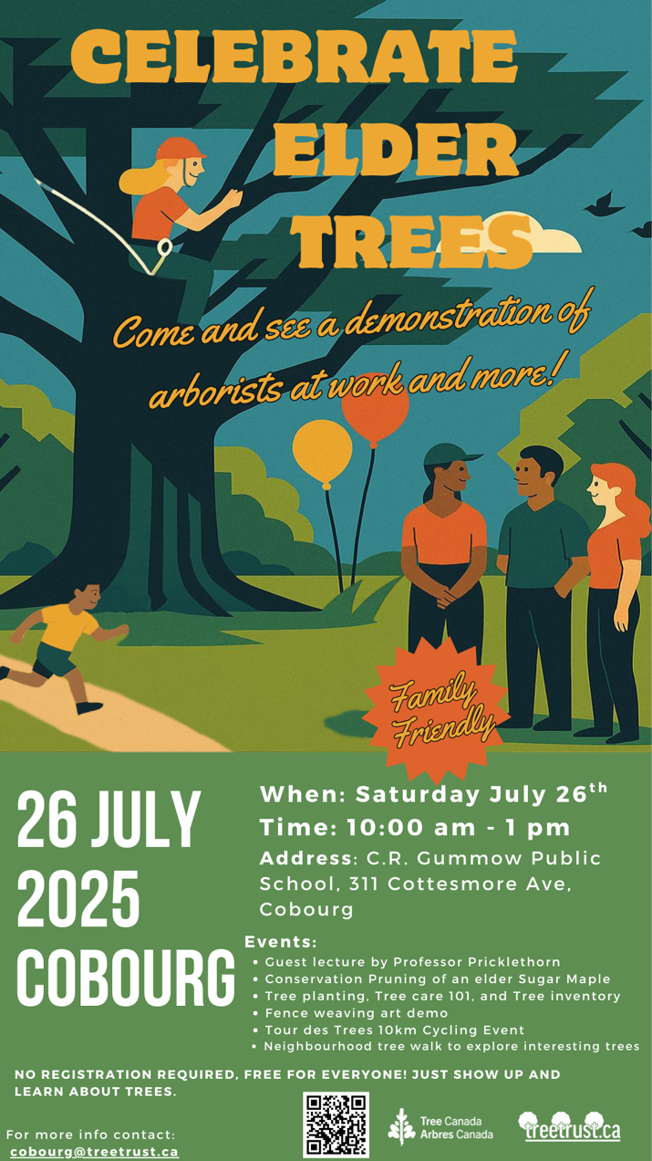 Celebrate Elder Trees Saturday