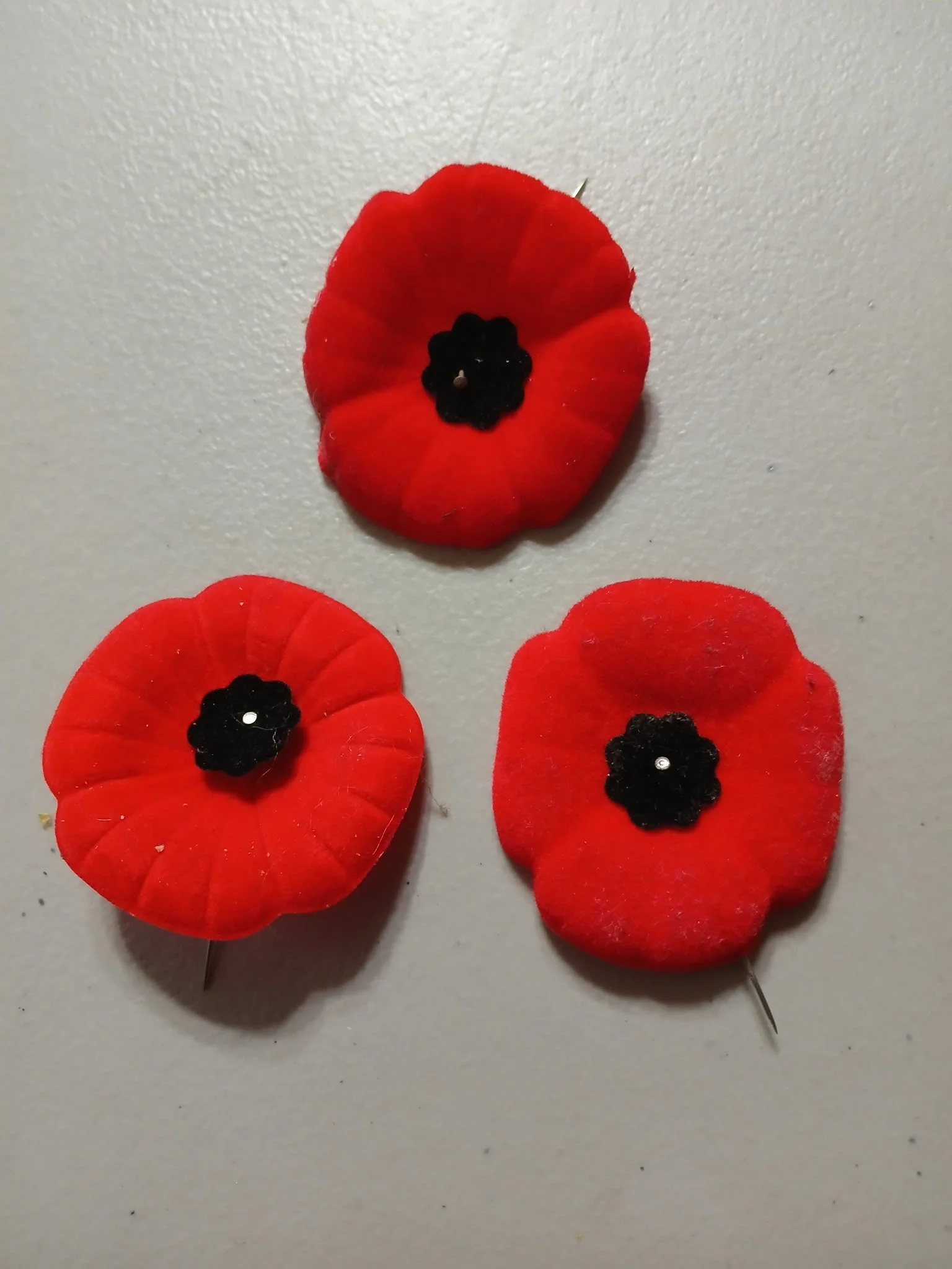 The plaque honouring a Roseneath man who made the ultimate sacrifice in WWI will be replaced and rededicated Sept. 6