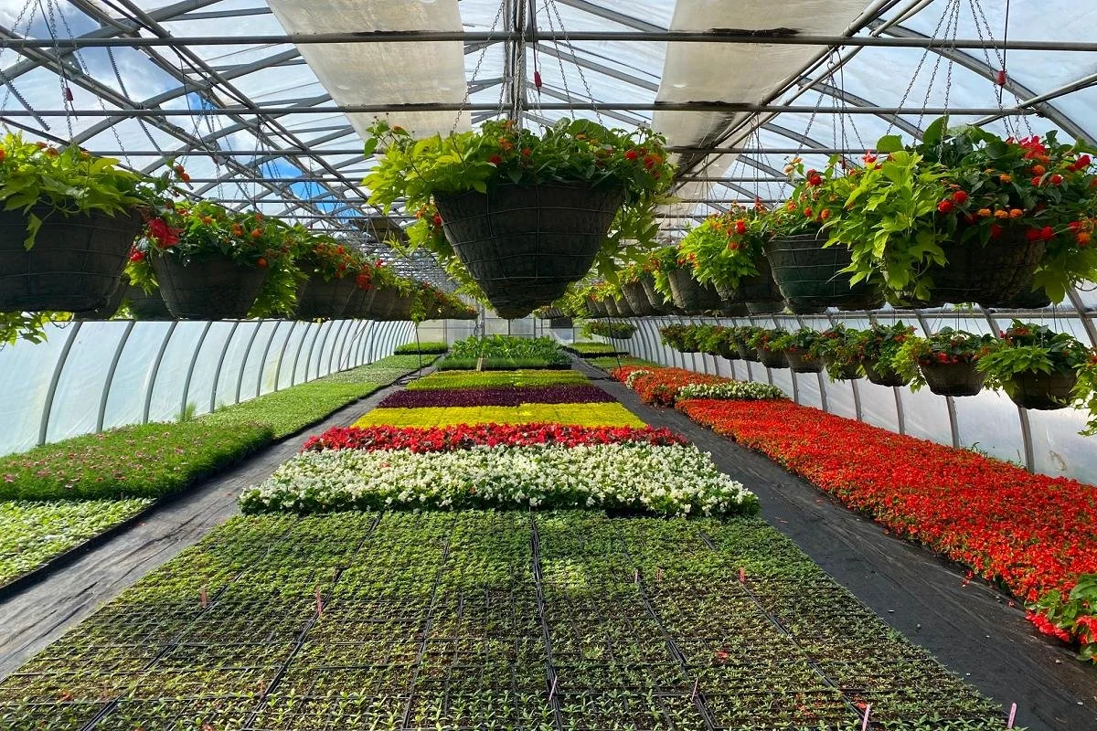Greenhouse open house is May 9