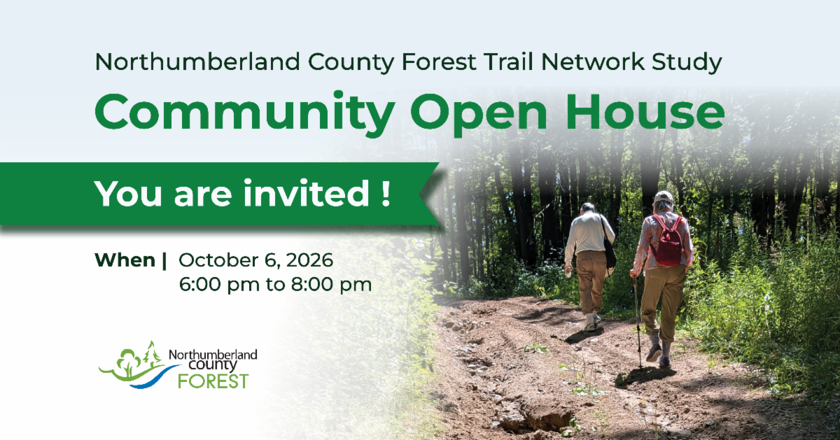 County seeks input from Northumberland Forest users