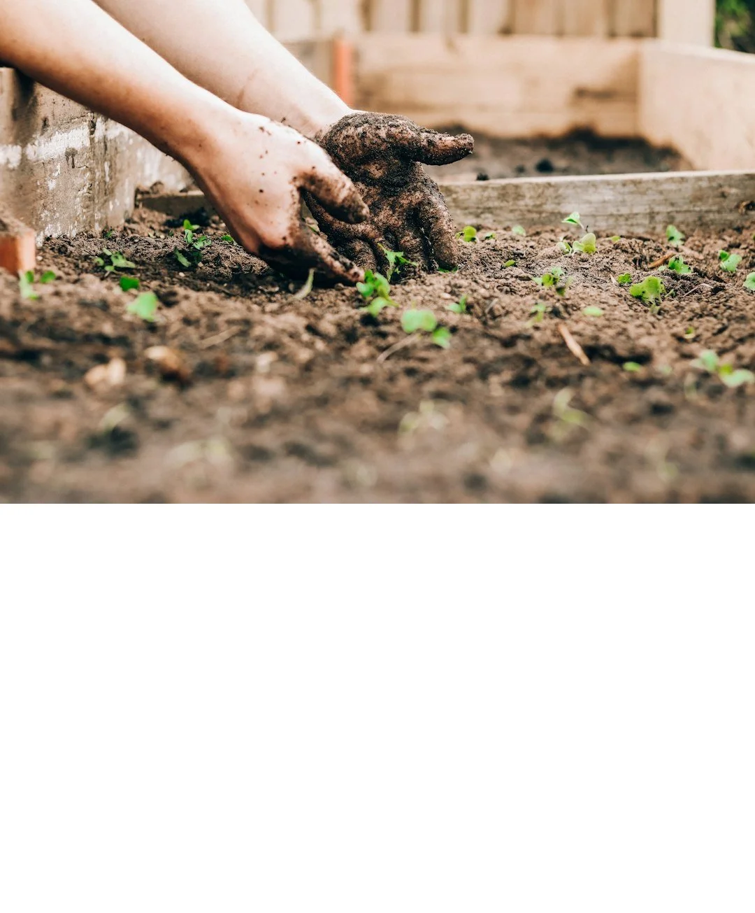 Sign up now for Indigenous Story Walk and Restoration Planting