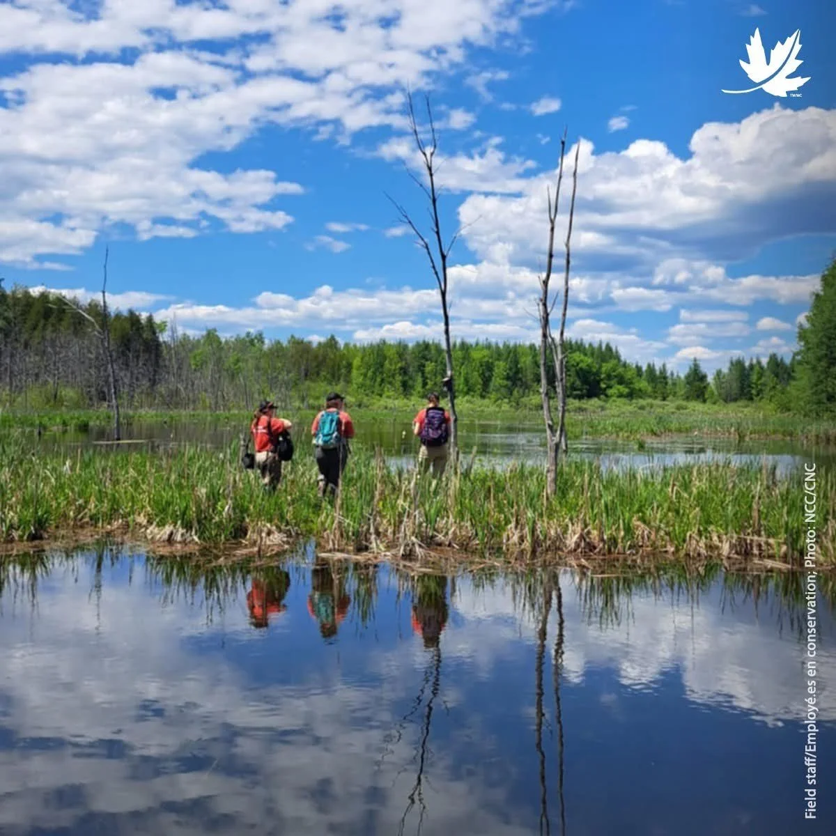 Estate gift will allow Nature Conservancy of Canada to expand Hazel ...