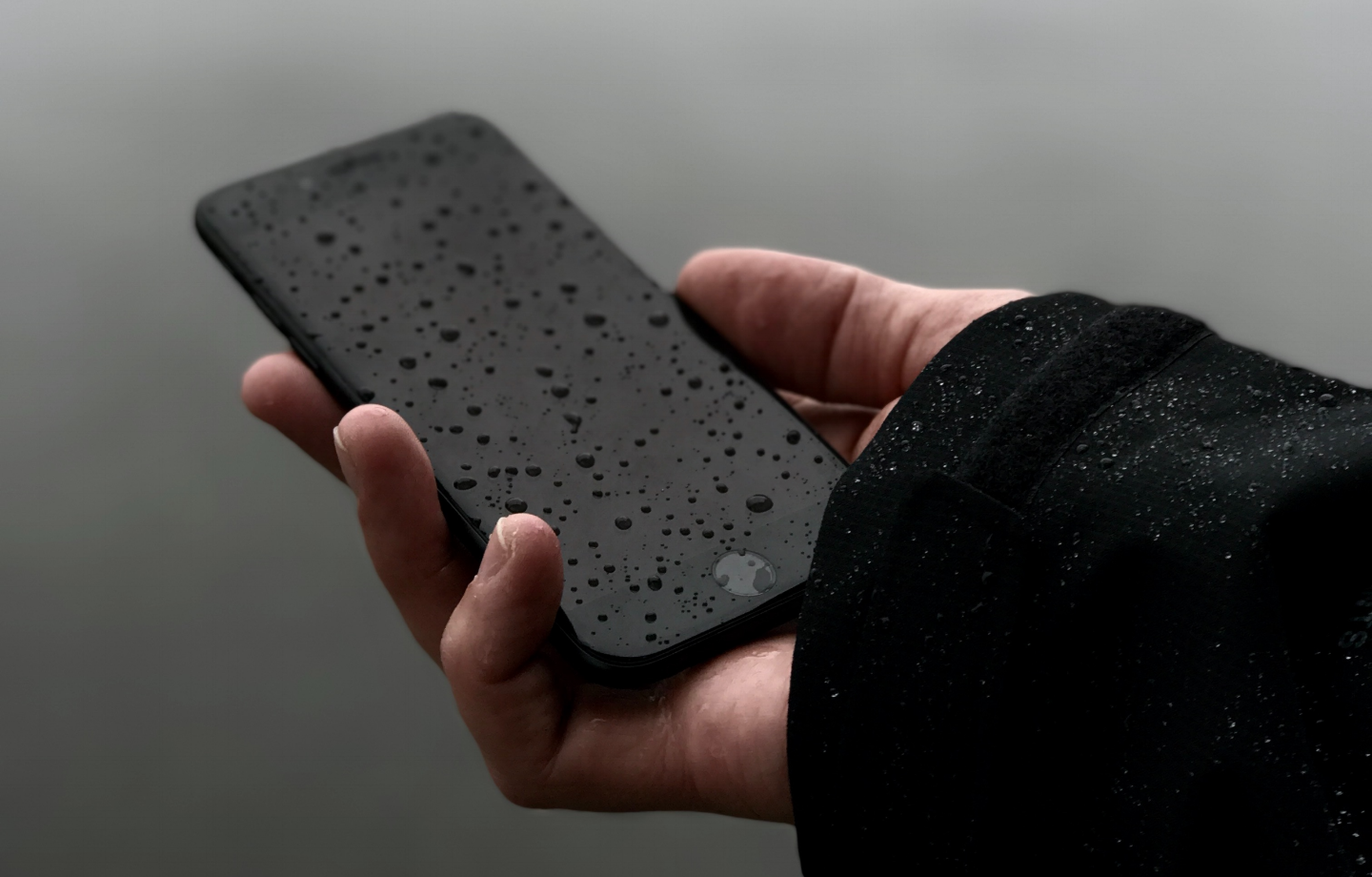 carlos-santiago-159235-unsplash.png