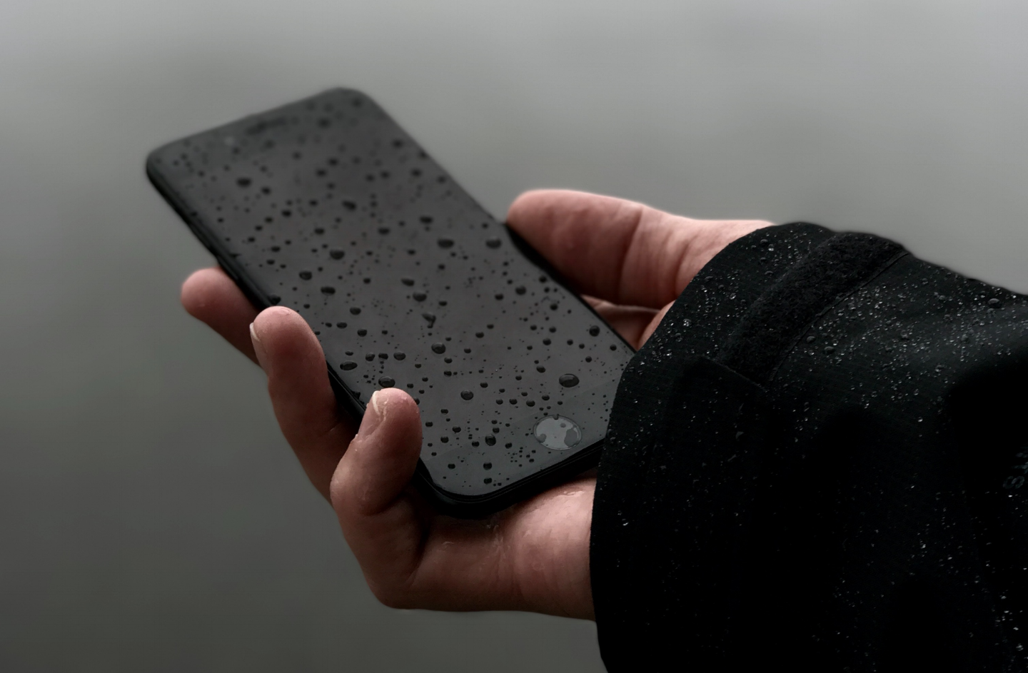 carlos-santiago-159235-unsplash.png