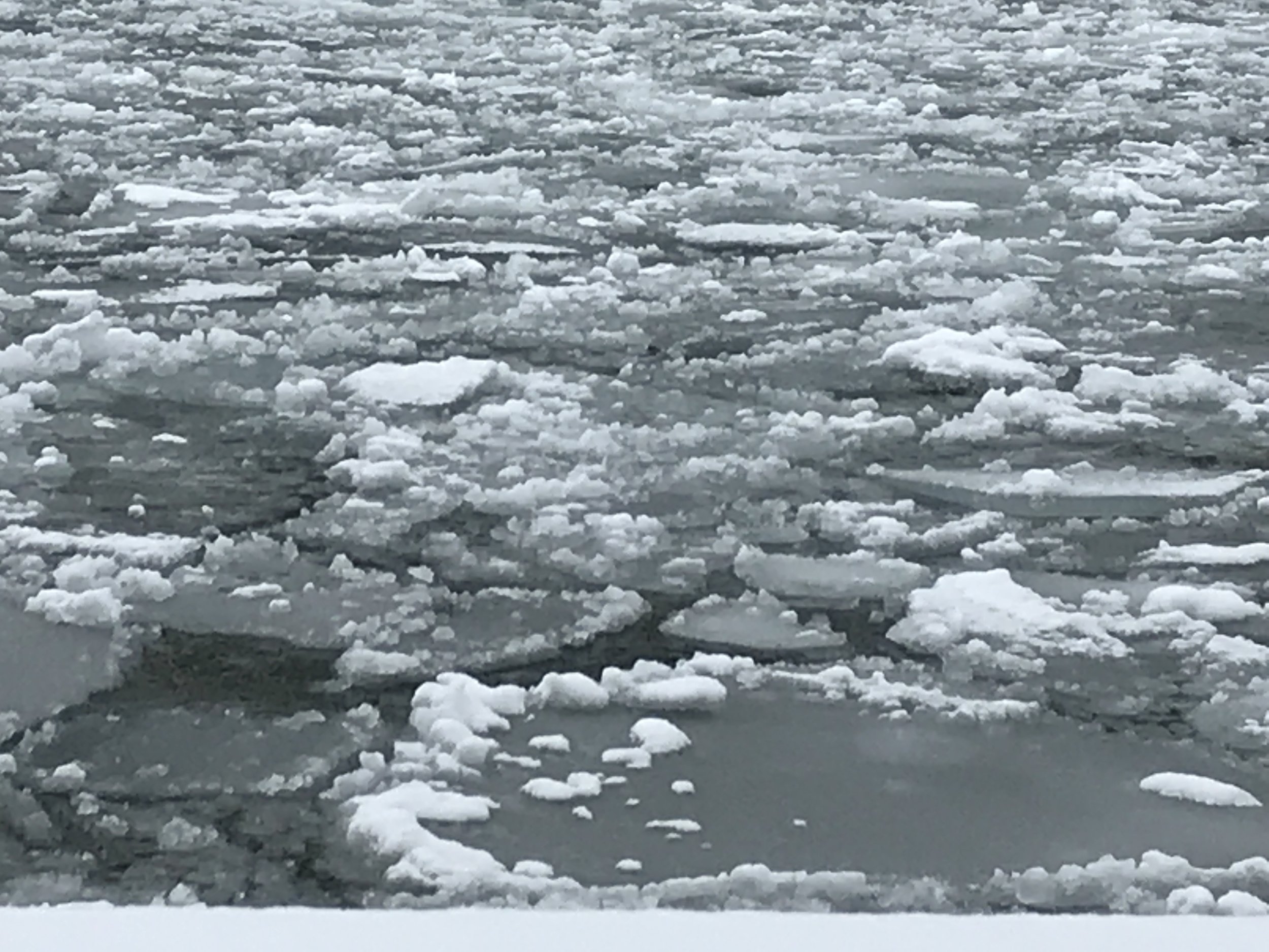 Frozen Lake Ontario