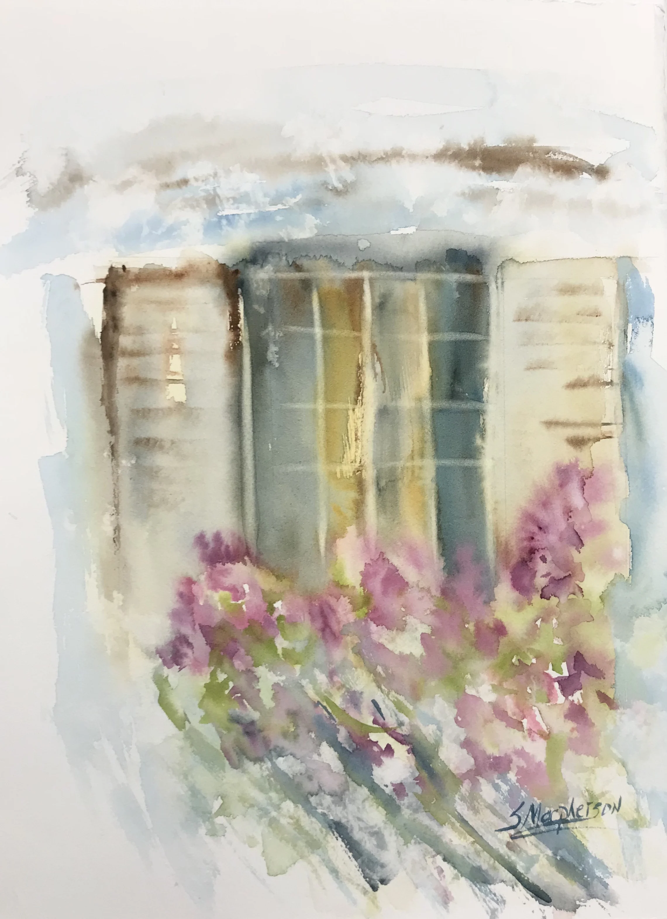 The Beauty of Window boxes