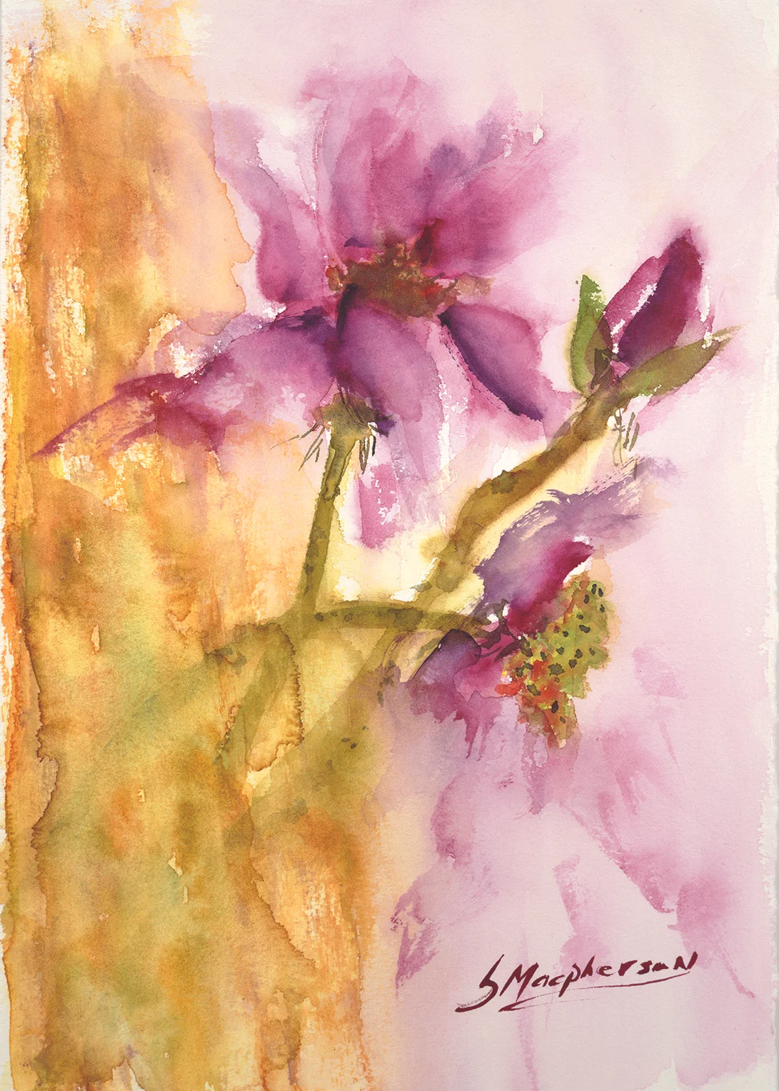 redflower5x7.jpg