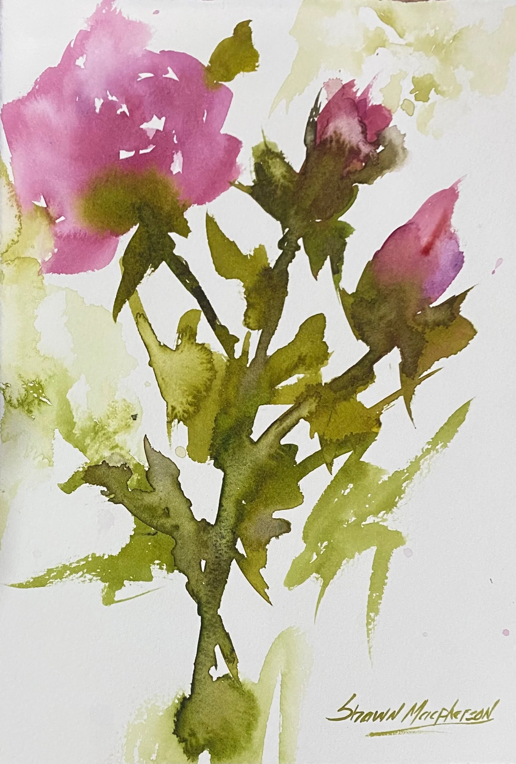 3AD09F6F-14D4-45AB-B78E-FAE3BADB4946