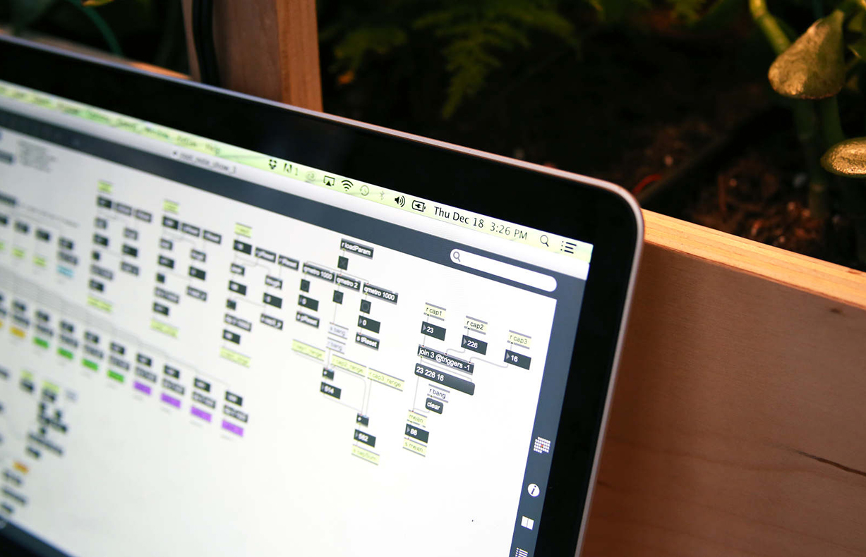RootNote-10.jpg