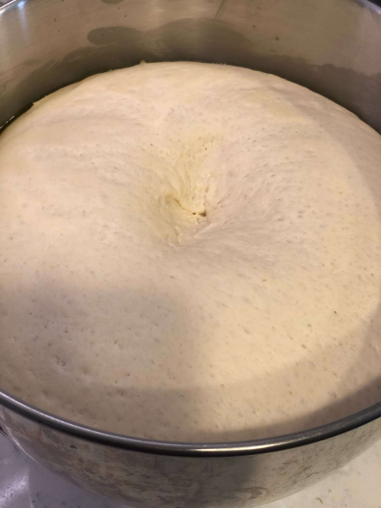 proof pizza dough in instant pot