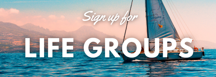 Life Group Banner.png
