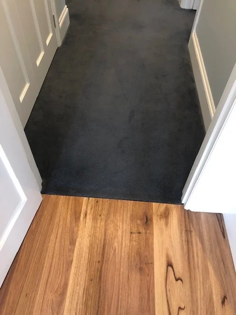 Plush grey carpet meets timber floor