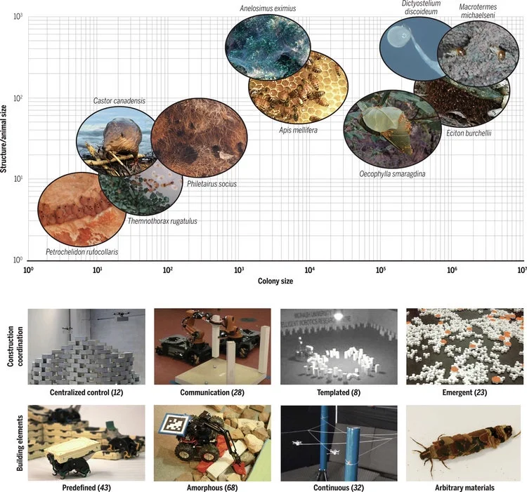 A Review of Collective Robotic Construction