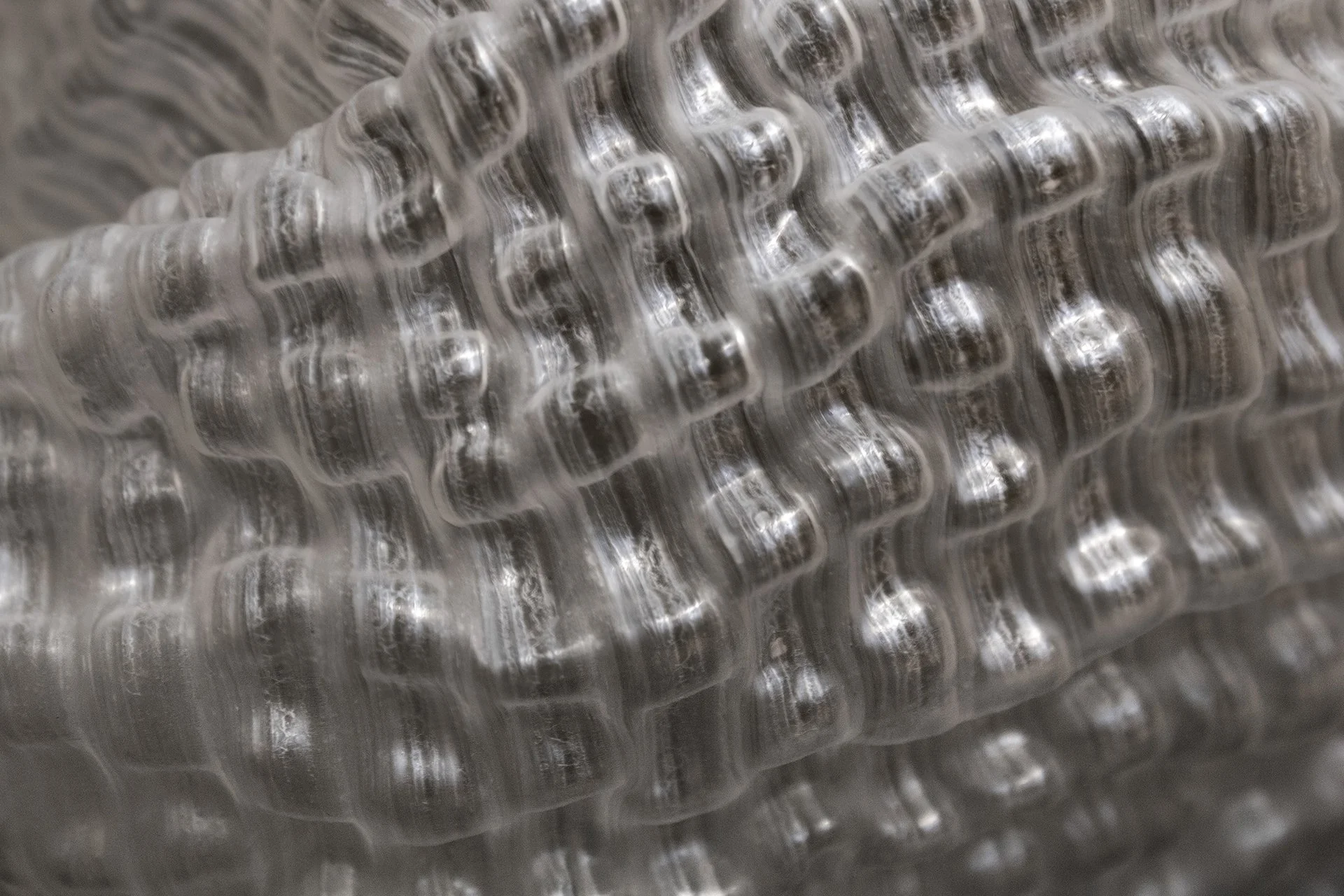 IMG_0894_Background01 - Copy.jpg