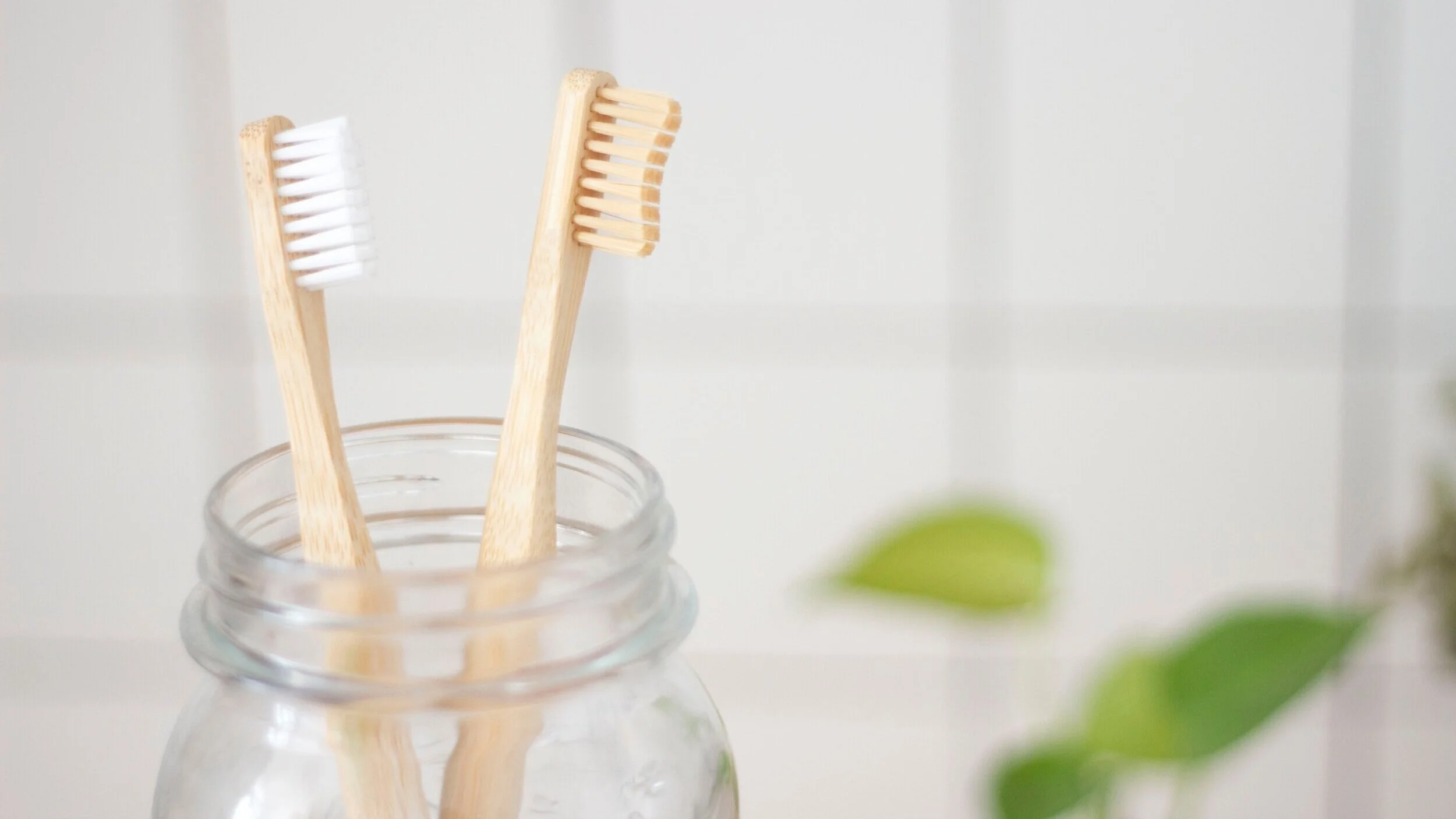 Toothbrush Cleaning Tips — Peak Dental - Logo