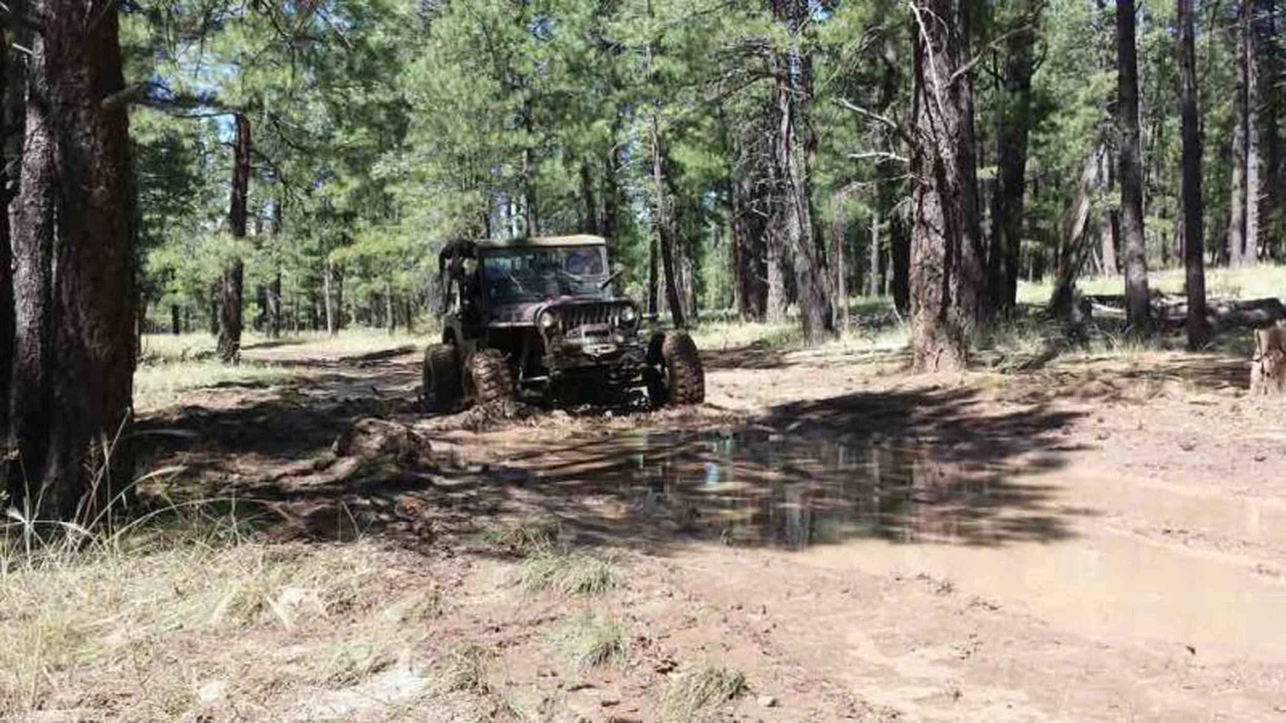 jeep .jpg