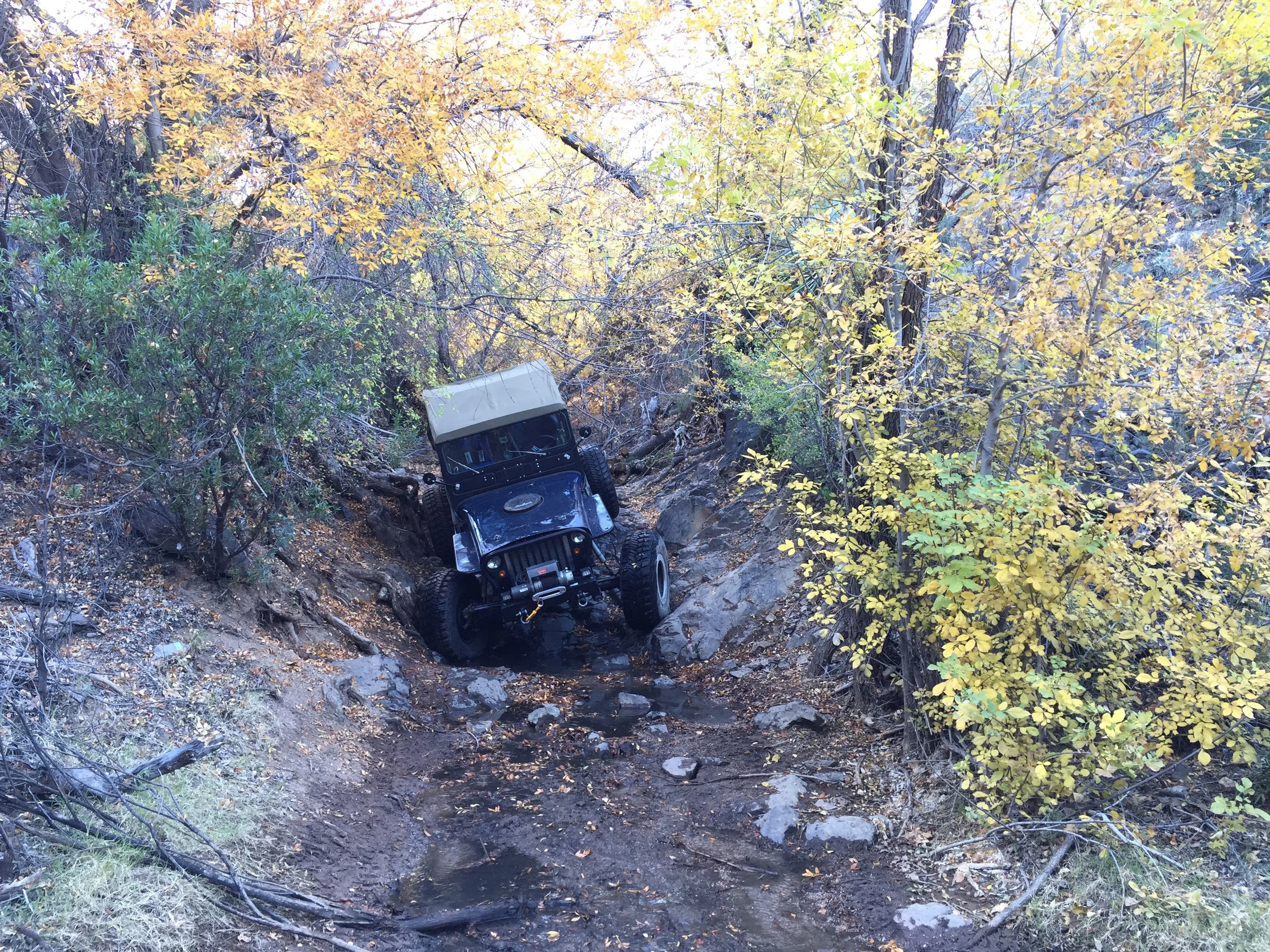 jeep 2 .jpg
