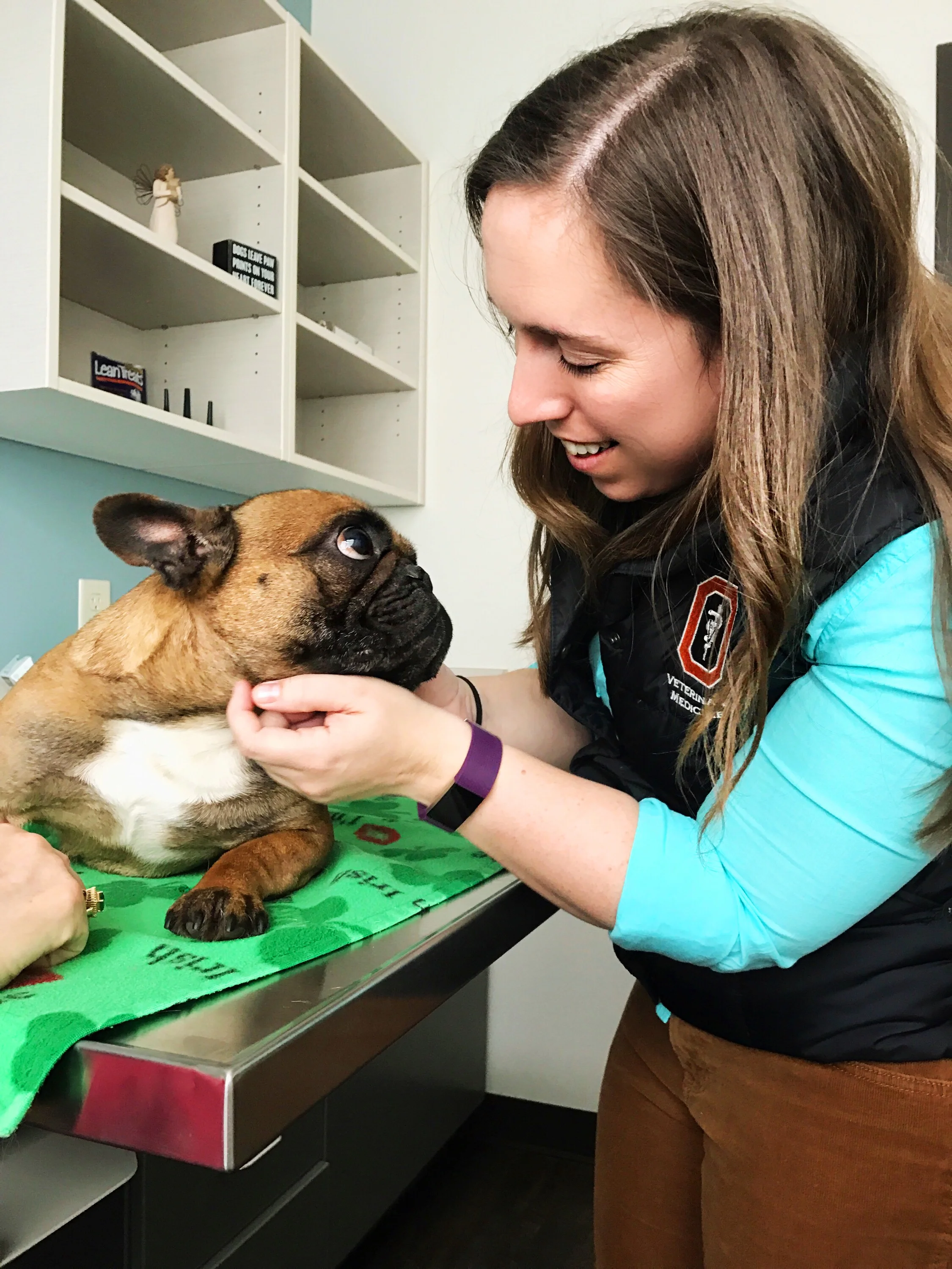 Employment Application — Stayton Veterinary Hospital